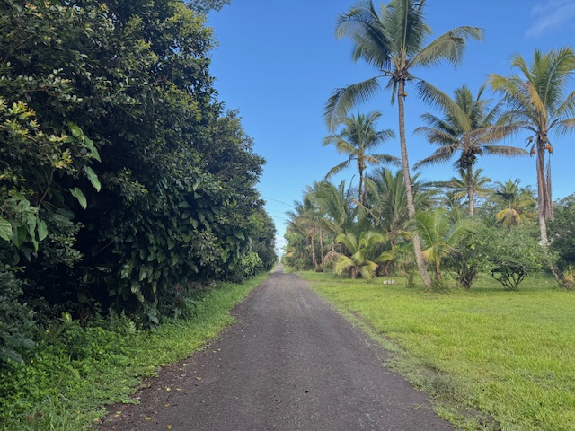 1401 3rd Avenue Keaau, HI 96749 - Photo 28 of 30 a view of a garden