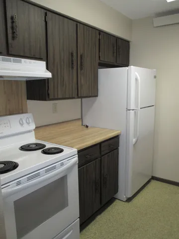 $523 | 507 Division Street North, Unit 211, Clara City, MN 56222