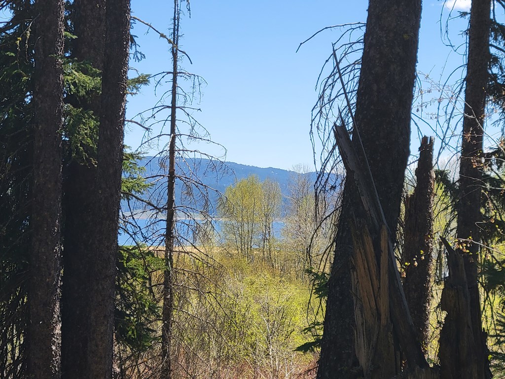 1602 Bear Trail Loop Cascade, ID 83611 - Photo 4 of 6