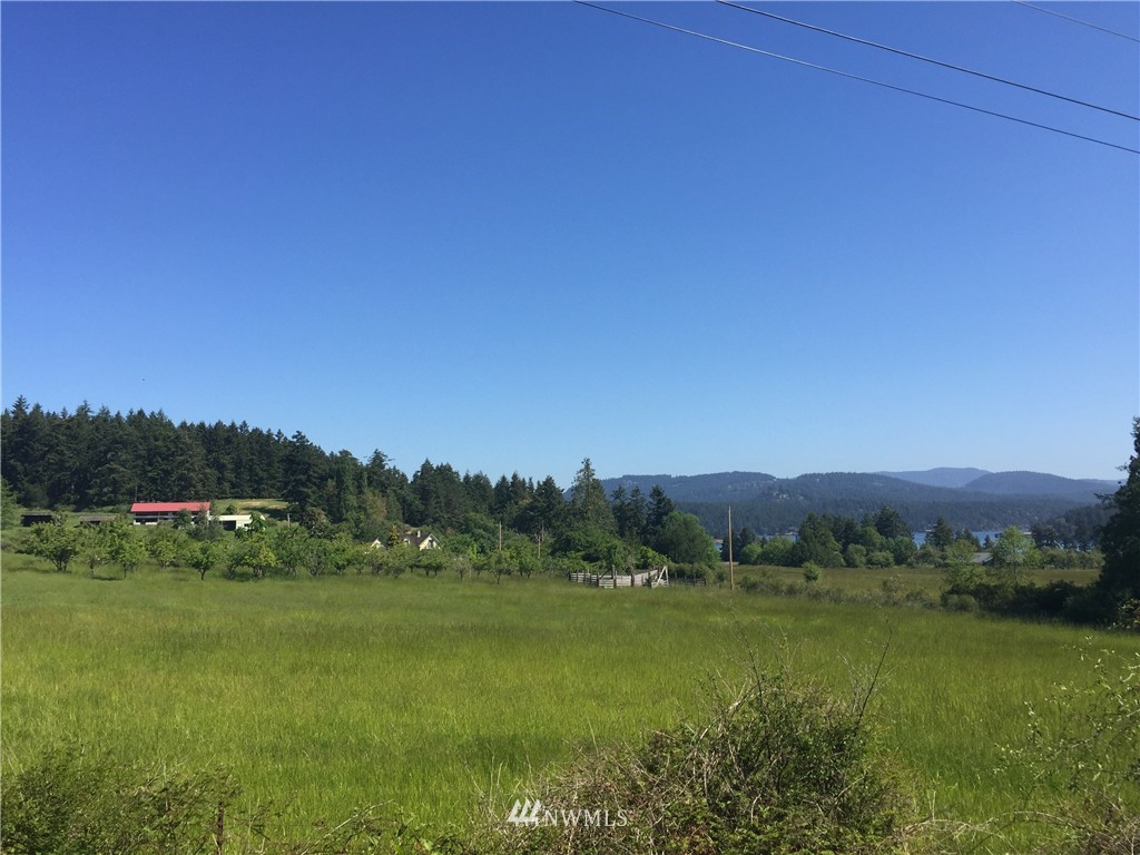 155 Smugglers Cove Road Shaw Island, WA 98286 - Photo 1 of 24 Gallery Image 1