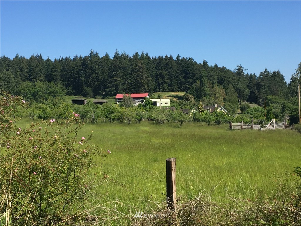 155 Smugglers Cove Road Shaw Island, WA 98286 - Photo 2 of 24 Gallery Image 2