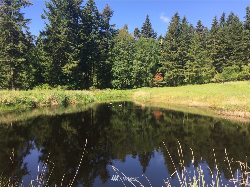 155 Smugglers Cove Road Shaw Island, WA 98286 - Photo 12 of 24 Gallery Image 12