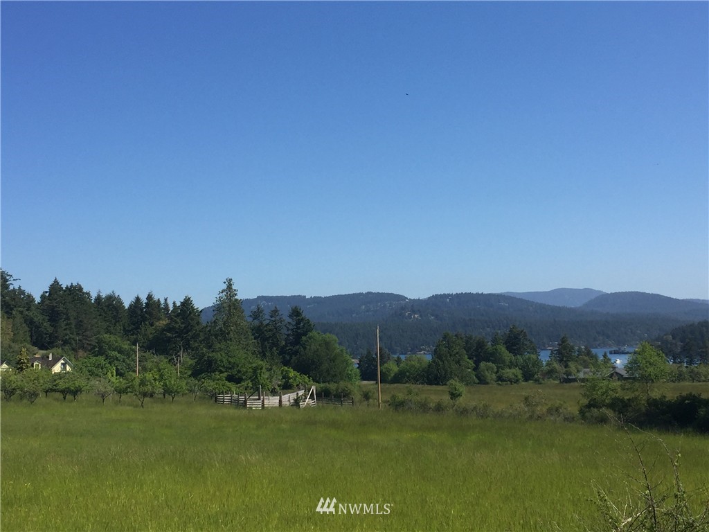155 Smugglers Cove Road Shaw Island, WA 98286 - Photo 15 of 24 Gallery Image 15