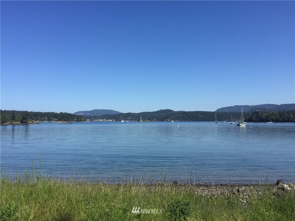 155 Smugglers Cove Road Shaw Island, WA 98286 - Photo 24 of 24 Gallery Image 24