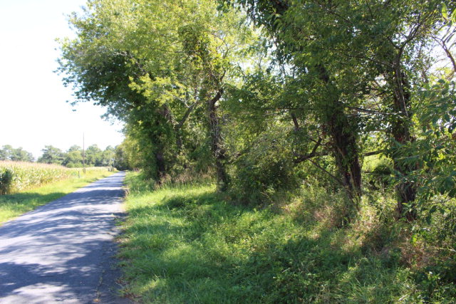 Lot 7 Mink Farm Road, Unit 7 Onancock, VA 23417 - Photo 8 of 27