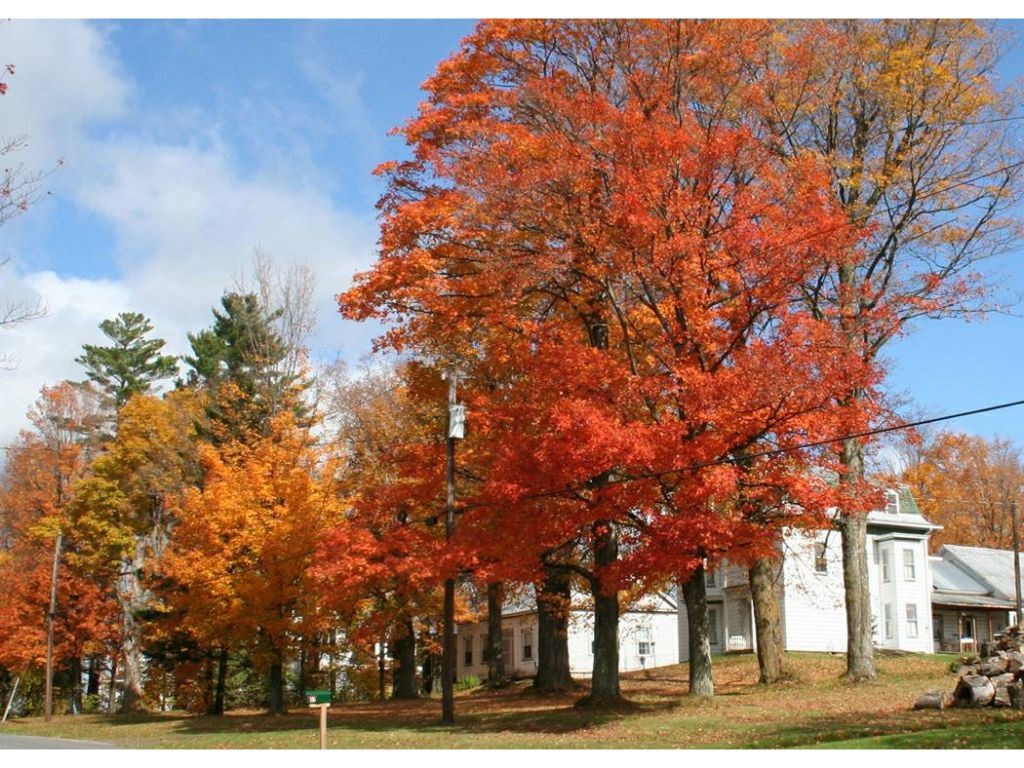 49 Creek Road Irasburg, VT 05845 - Photo 18 of 18 Gallery Image 18