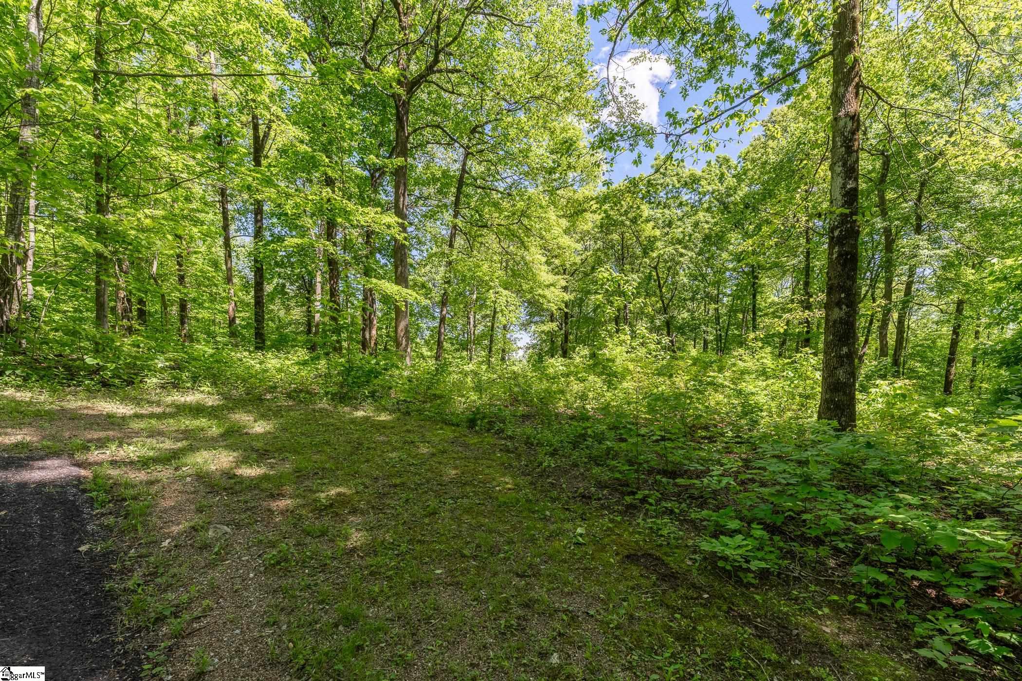 149 Lacy Fern Way Landrum, SC 29356 - Photo 1 of 20