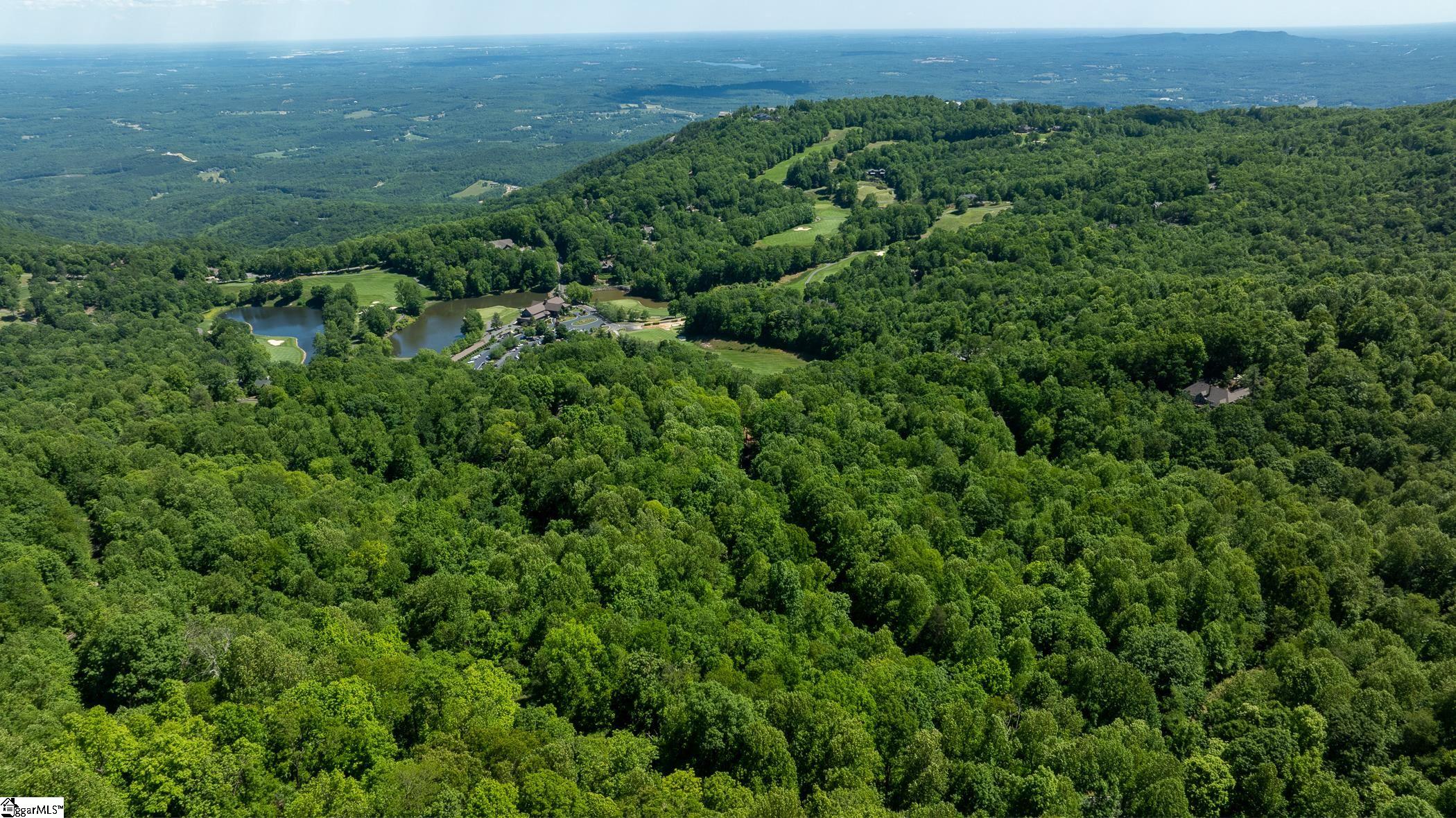 149 Lacy Fern Way Landrum, SC 29356 - Photo 11 of 20