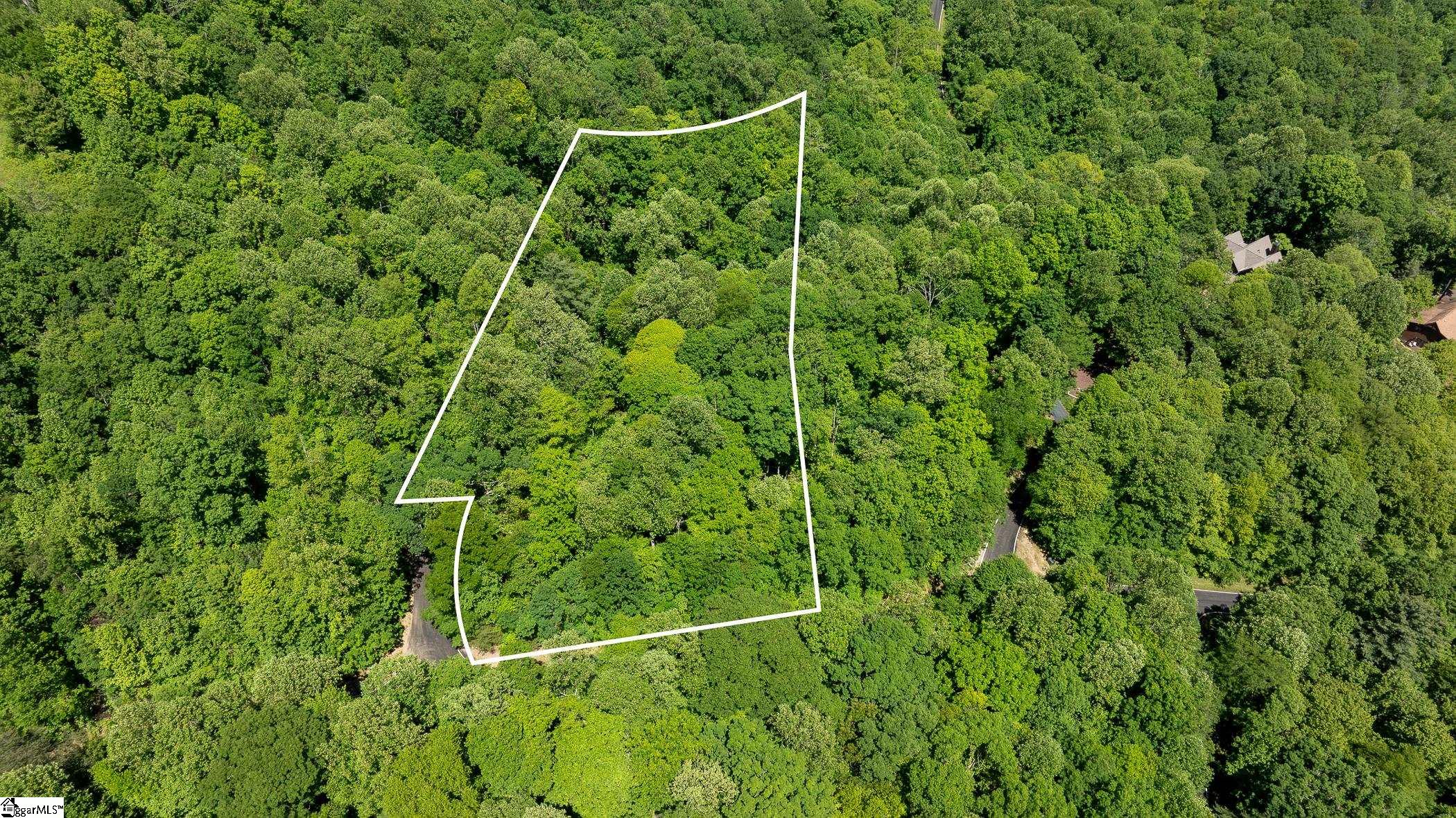 149 Lacy Fern Way Landrum, SC 29356 - Photo 14 of 20