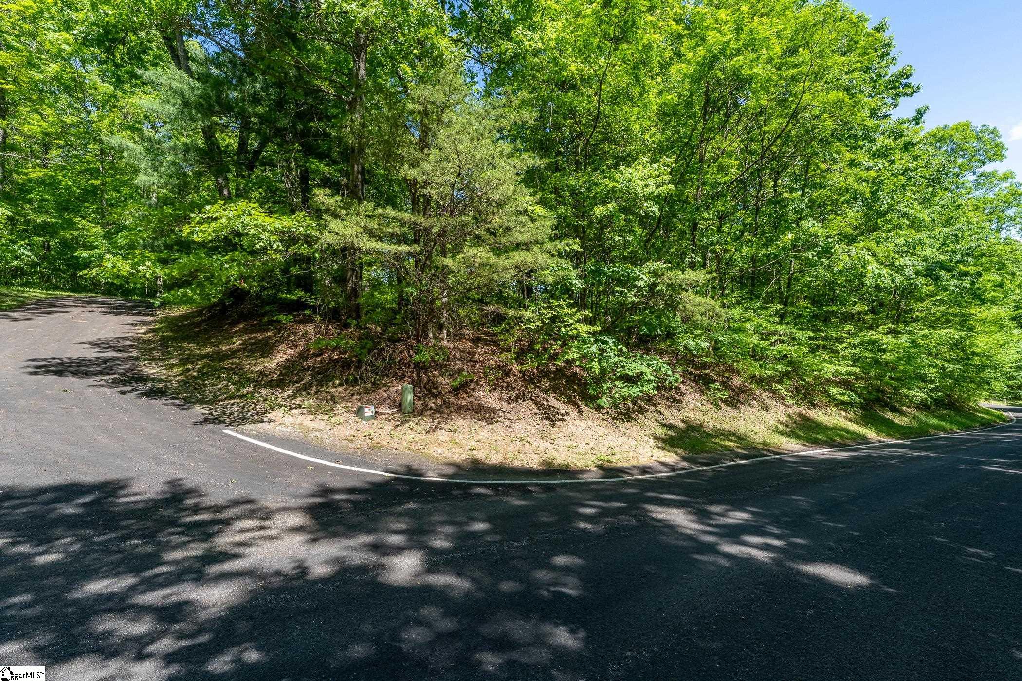 149 Lacy Fern Way Landrum, SC 29356 - Photo 17 of 20