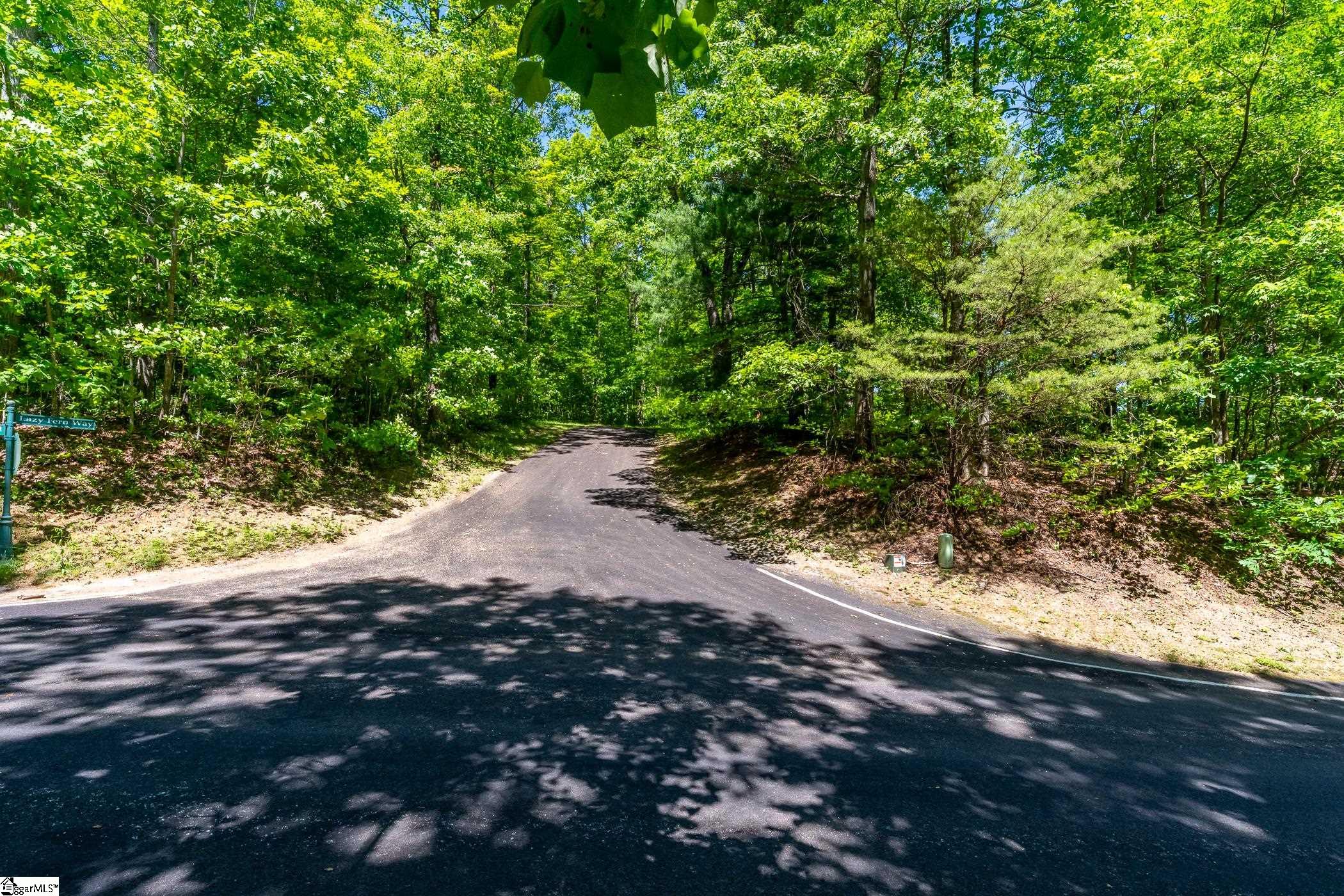 149 Lacy Fern Way Landrum, SC 29356 - Photo 18 of 20