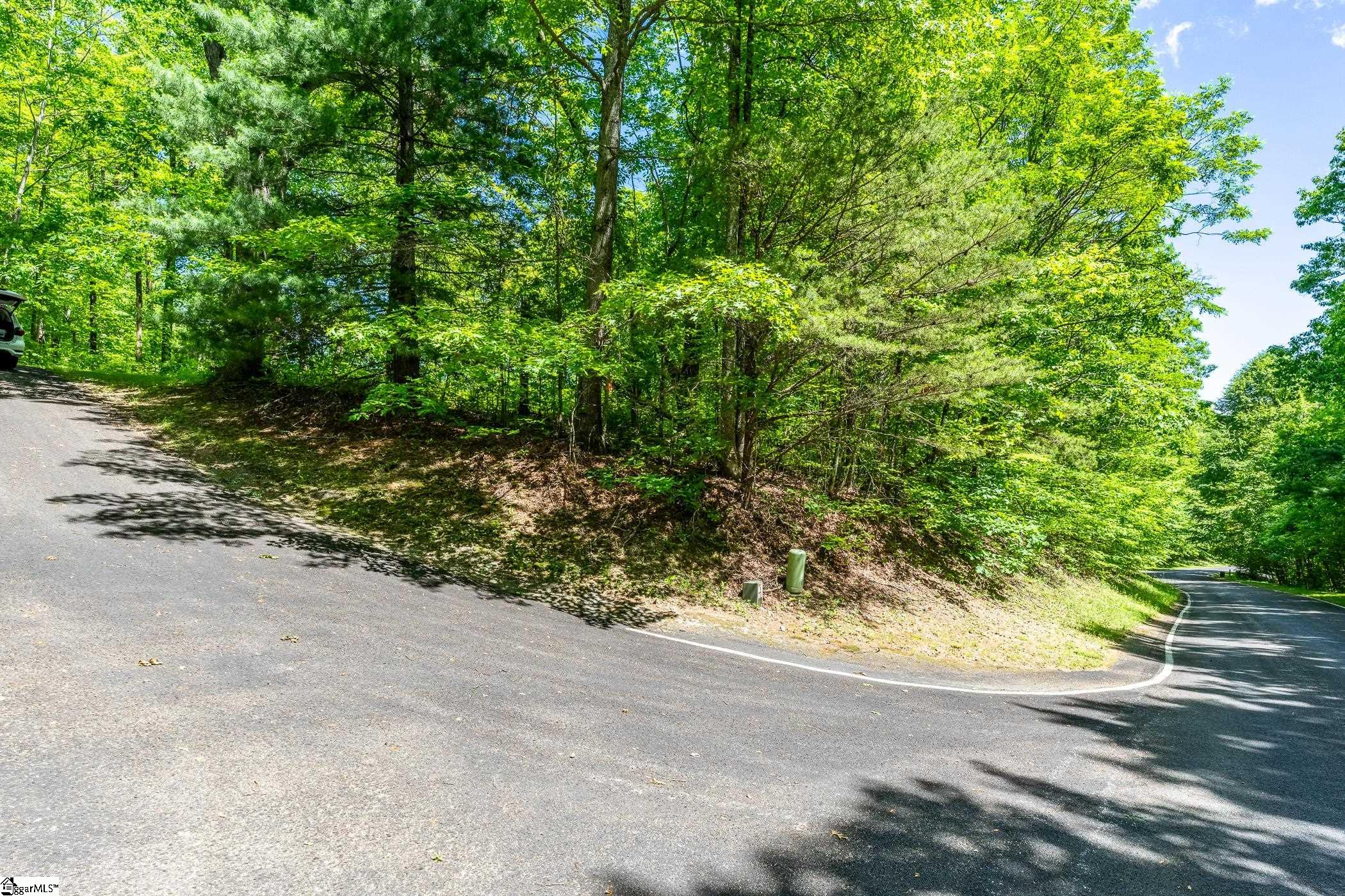 149 Lacy Fern Way Landrum, SC 29356 - Photo 20 of 20