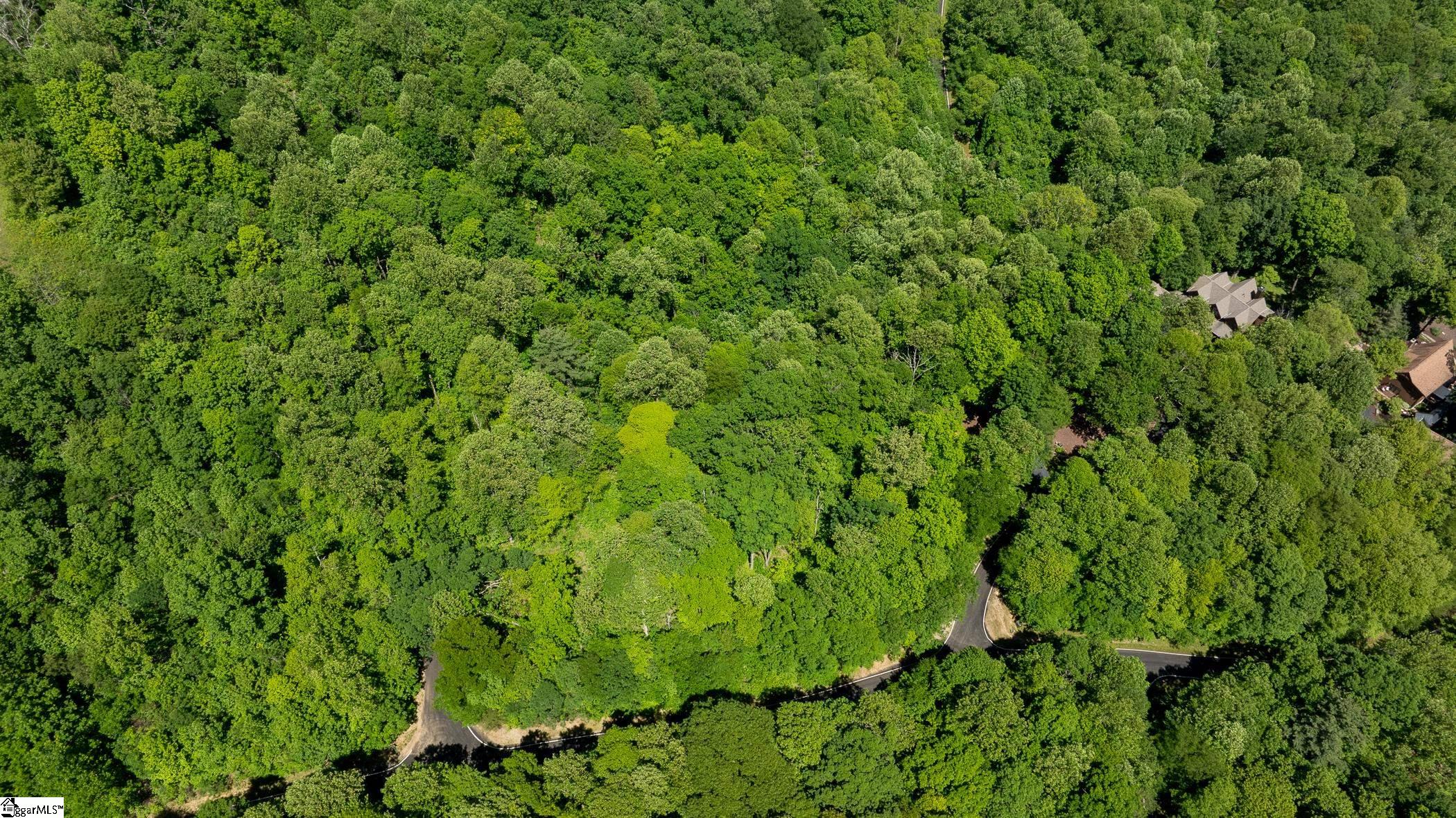 149 Lacy Fern Way Landrum, SC 29356 - Photo 2 of 20