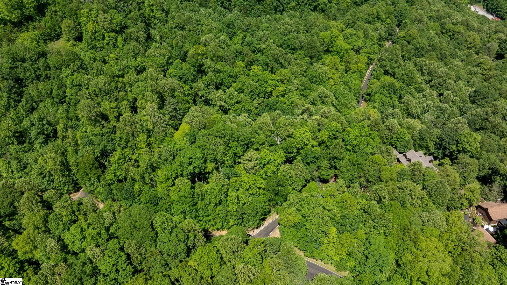 149 Lacy Fern Way Landrum, SC 29356 - Photo 3 of 20