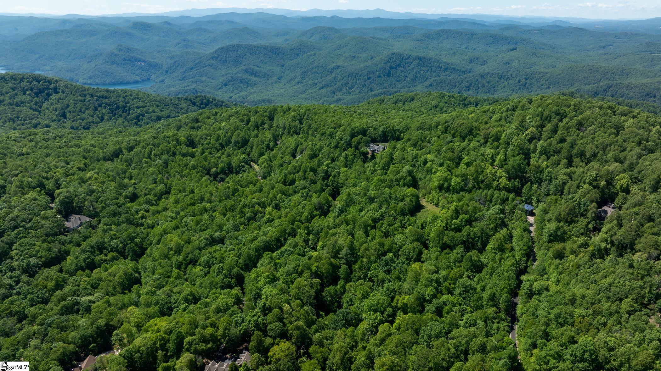 149 Lacy Fern Way Landrum, SC 29356 - Photo 4 of 20