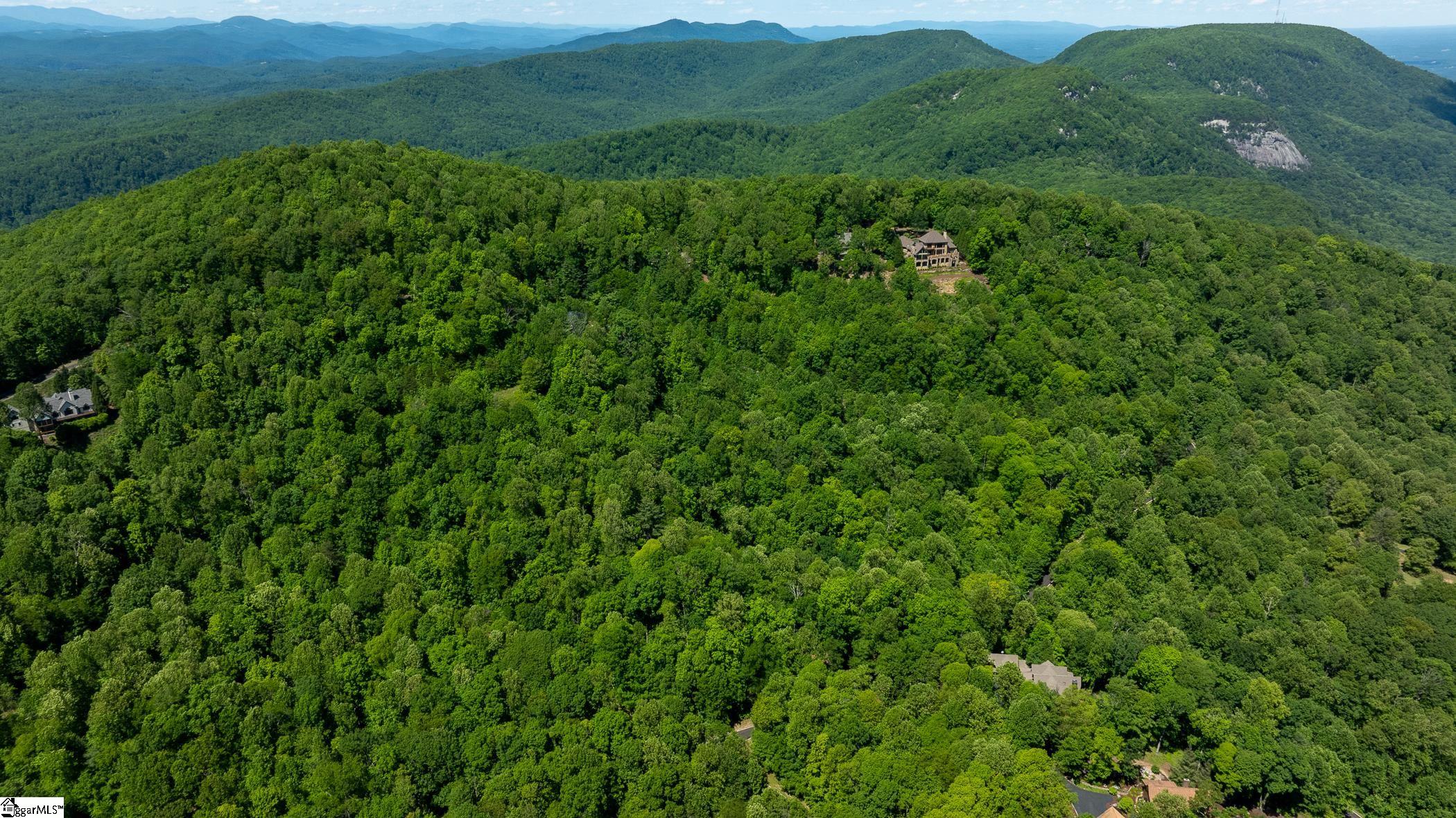 149 Lacy Fern Way Landrum, SC 29356 - Photo 6 of 20