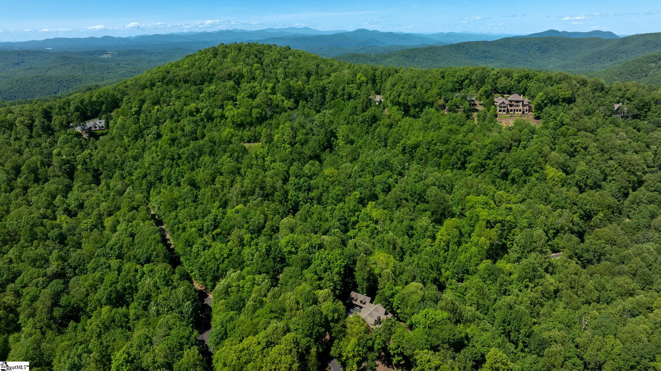 149 Lacy Fern Way Landrum, SC 29356 - Photo 8 of 20