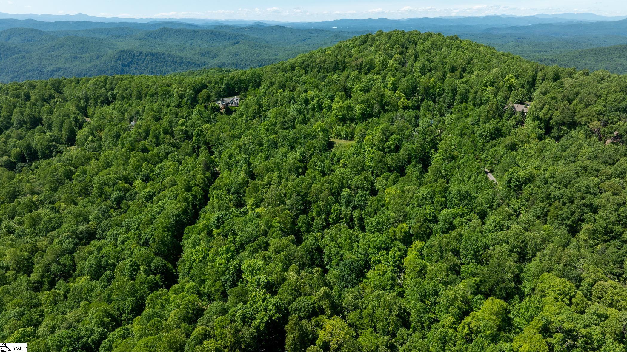 149 Lacy Fern Way Landrum, SC 29356 - Photo 9 of 20