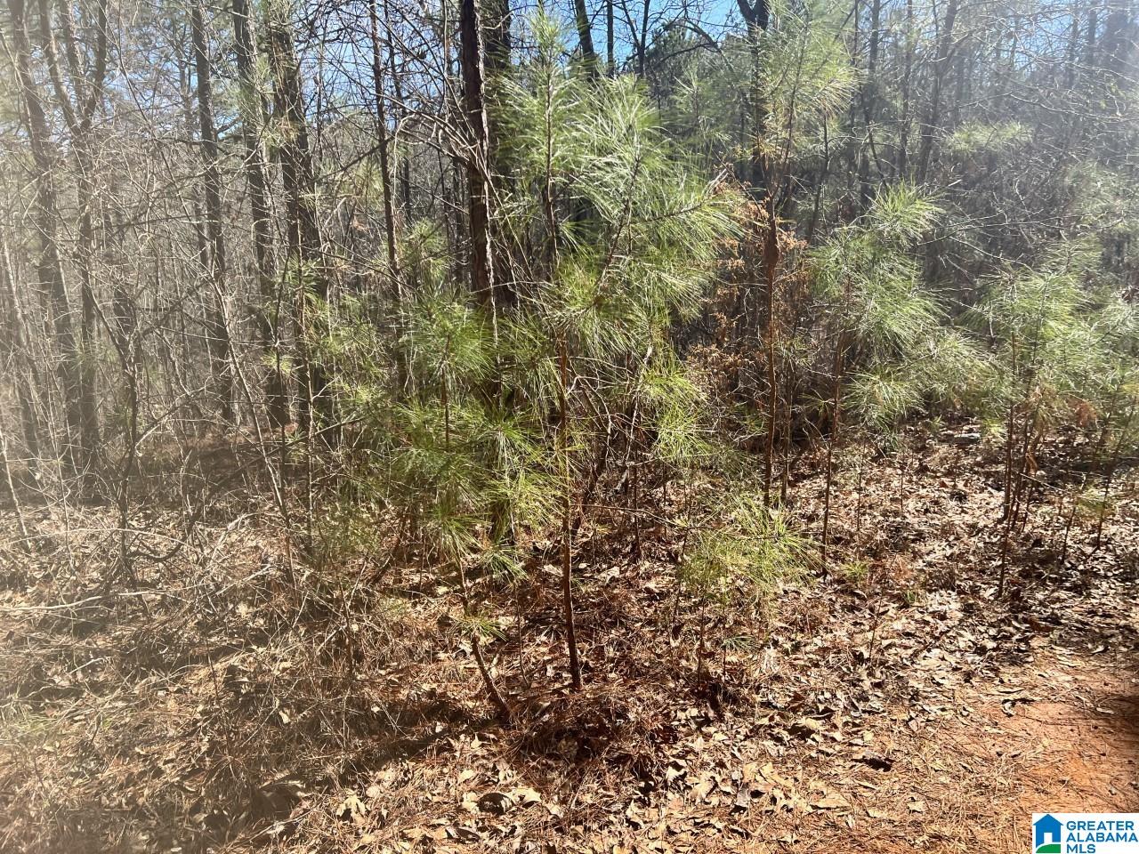 0 Luna Way, Unit 49 Alpine, AL 35014 - Photo 1 of 2