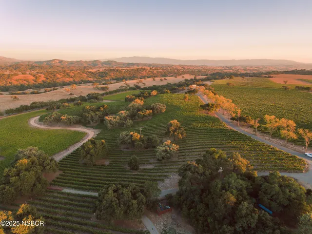 a view of a lake with a city