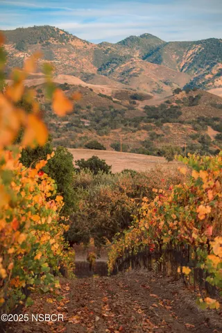 a view of a city with mountain