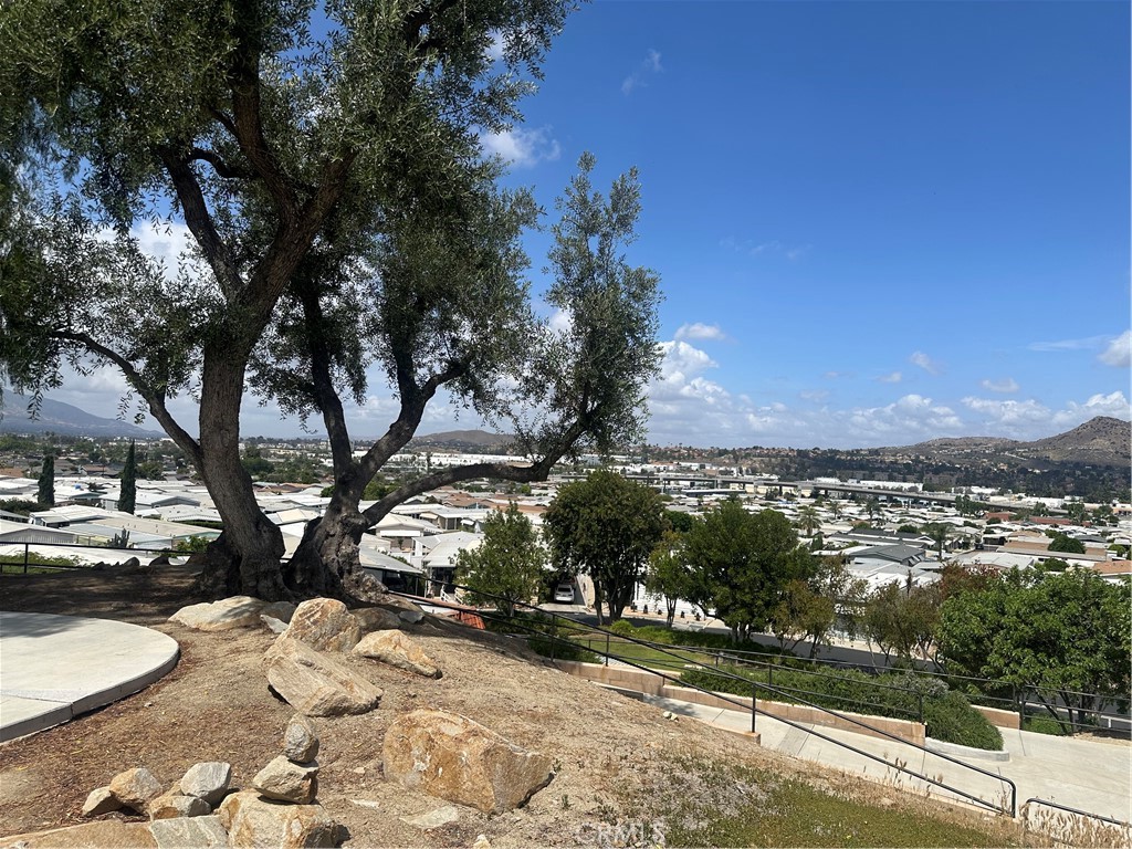 3500 Buchanan Street, Unit 70 Riverside, CA 92503 - Photo 8 of 11