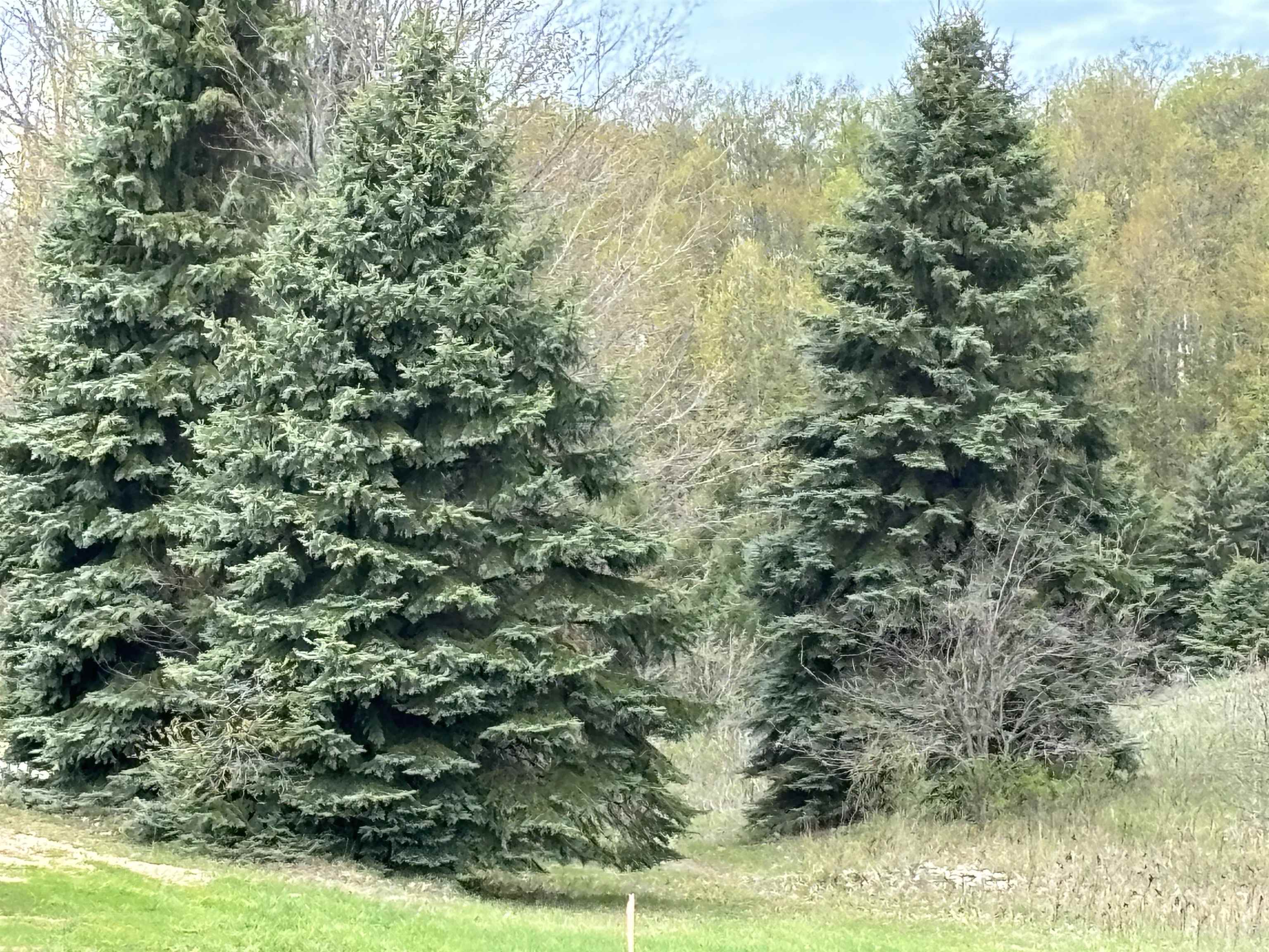 0 East Pine View Suttons Bay, MI 49682 - Photo 6 of 7