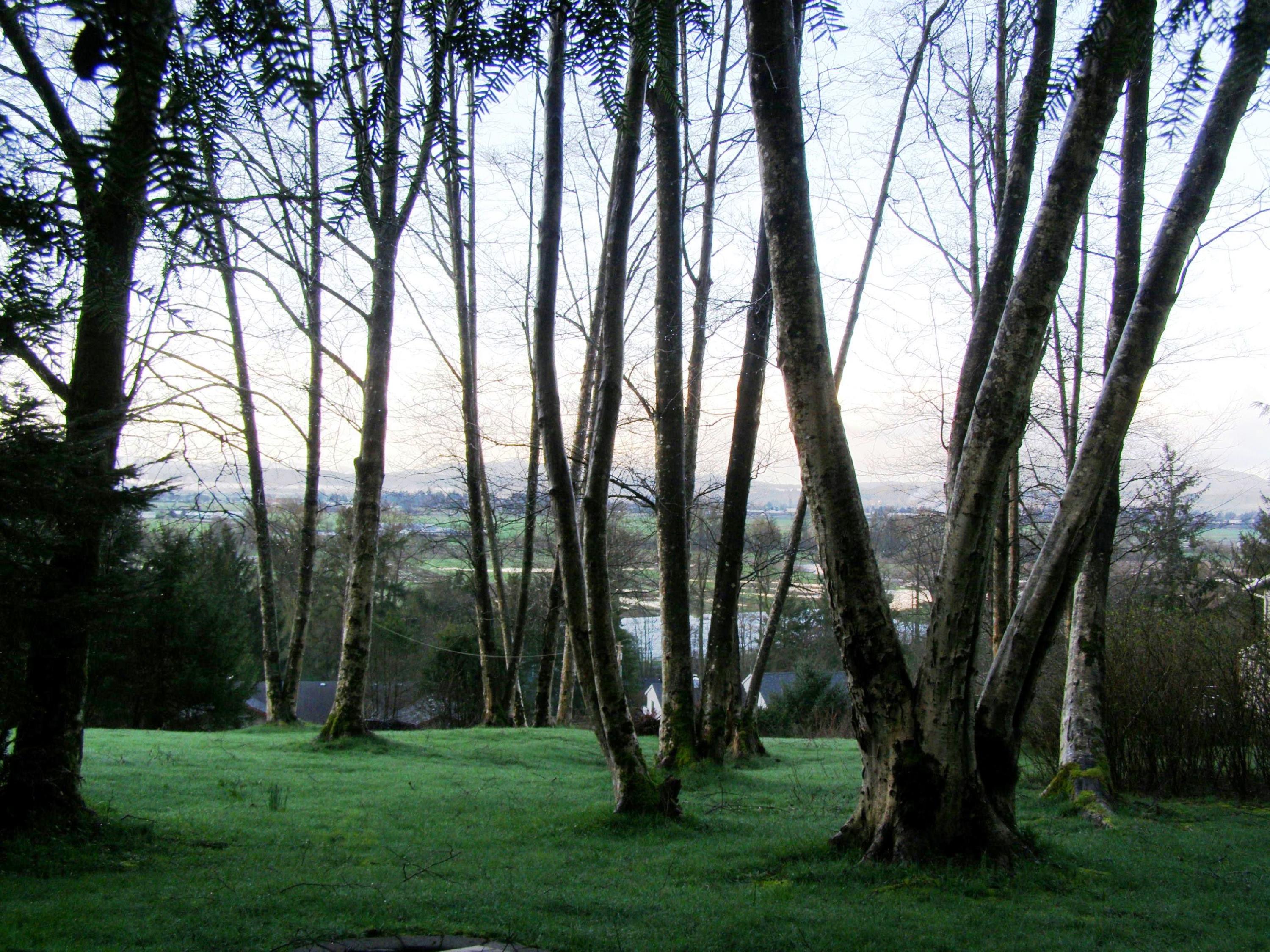 Tl# 500 Hubert Road Tillamook, OR 97141 - Photo 1 of 22 P3150007