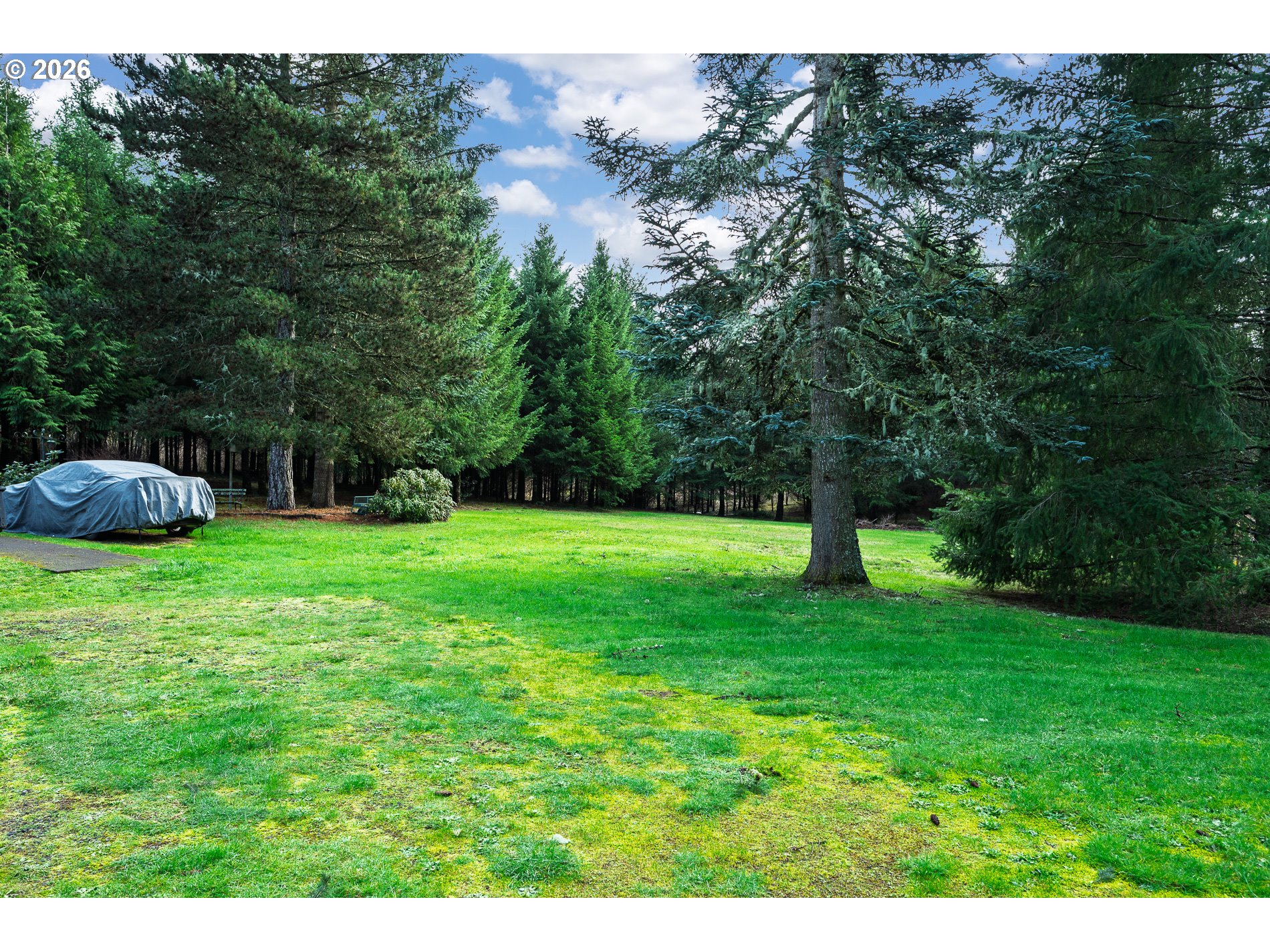 27572 South Kinzy Road Estacada, OR 97023 - Photo 40 of 47 a view of a garden with a tree