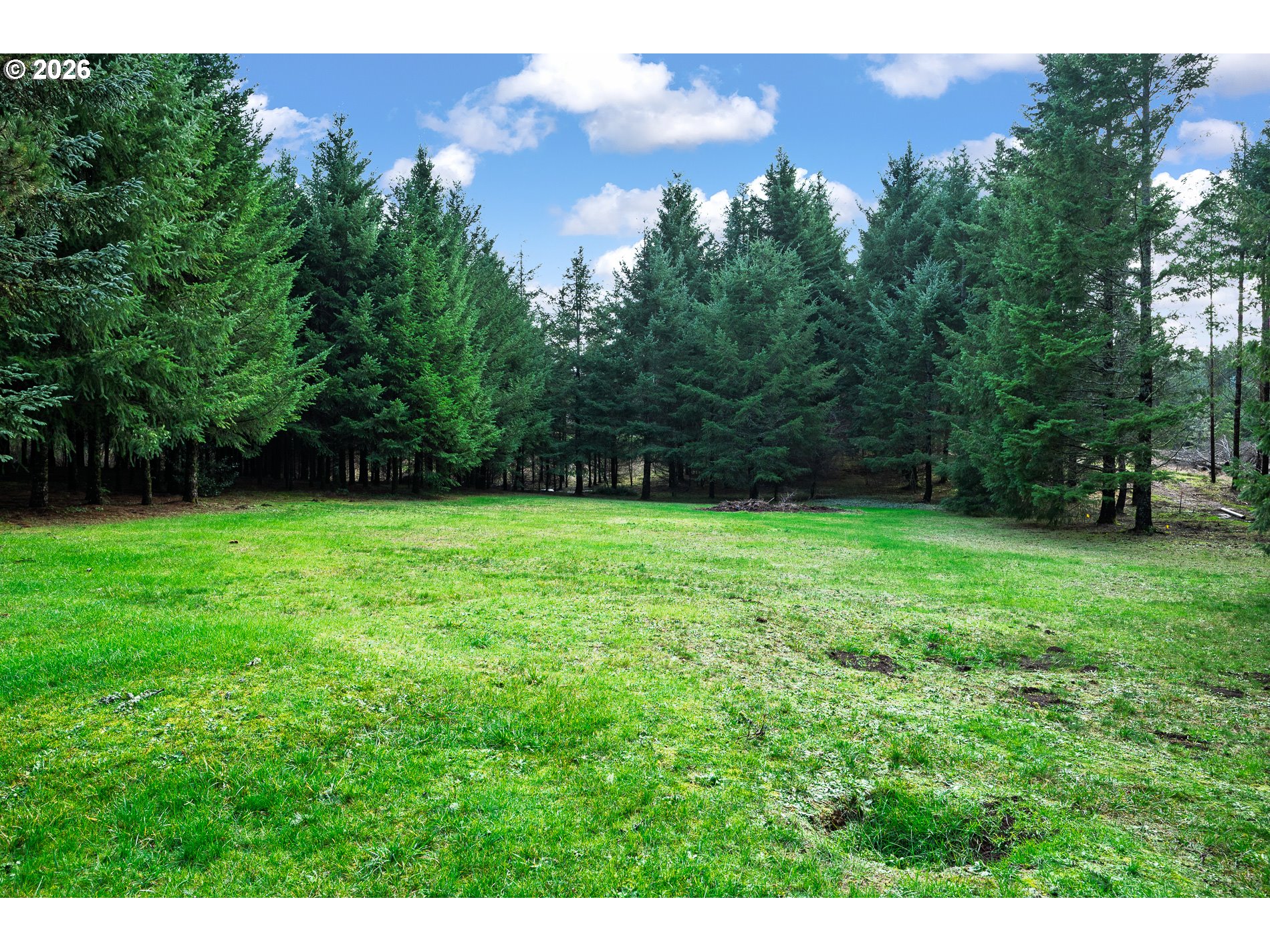 27572 South Kinzy Road Estacada, OR 97023 - Photo 41 of 47 a view of a garden