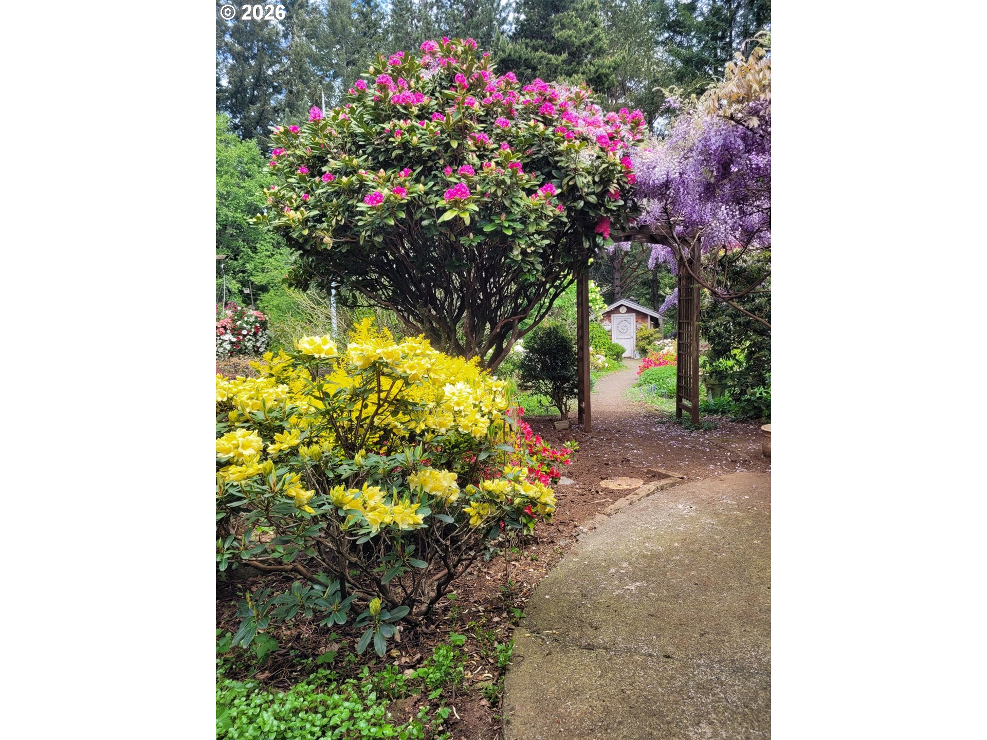 27572 South Kinzy Road Estacada, OR 97023 - Photo 42 of 47 a view of a flower in a yard
