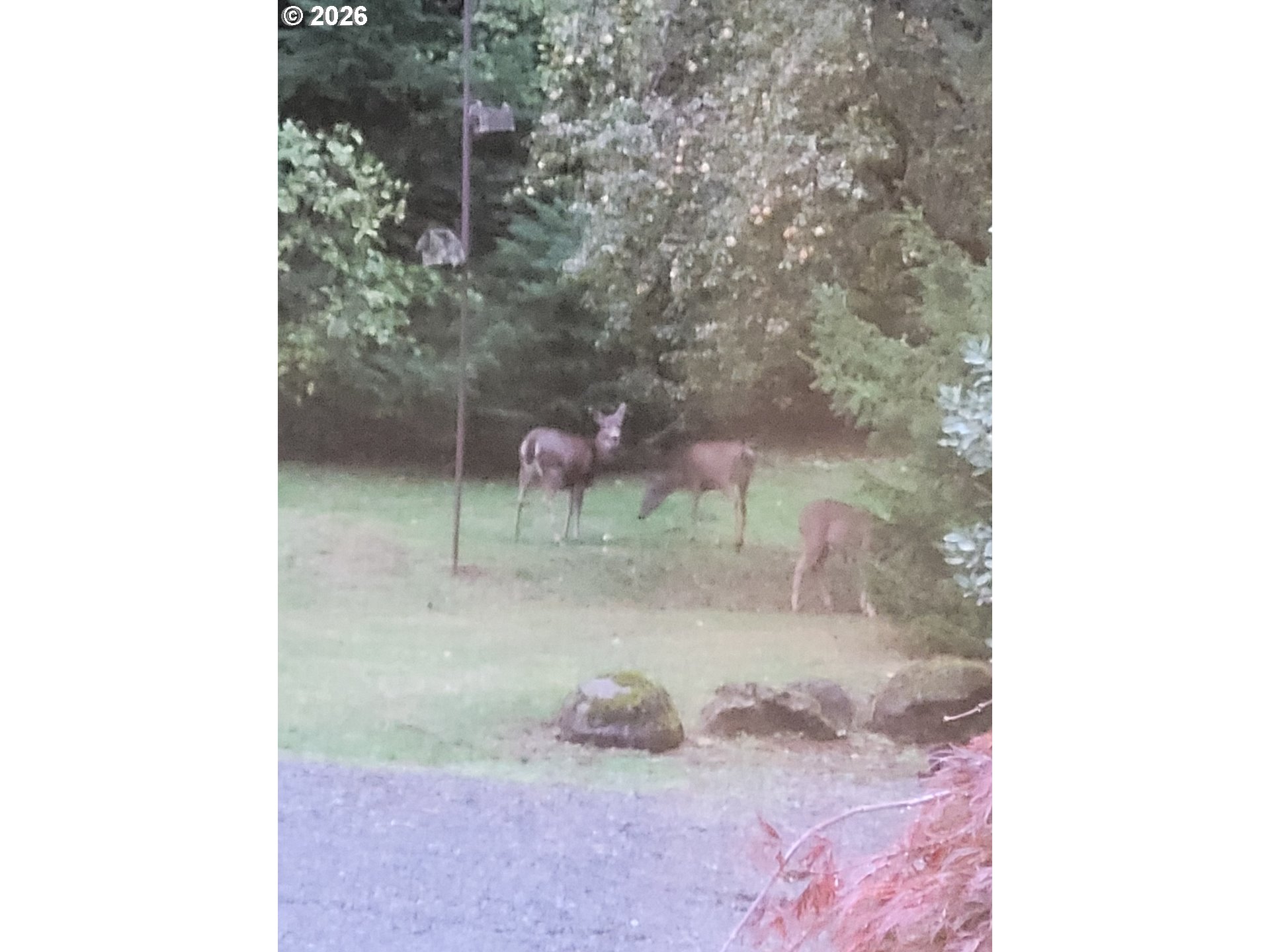 27572 South Kinzy Road Estacada, OR 97023 - Photo 43 of 47 a bathroom with a sink