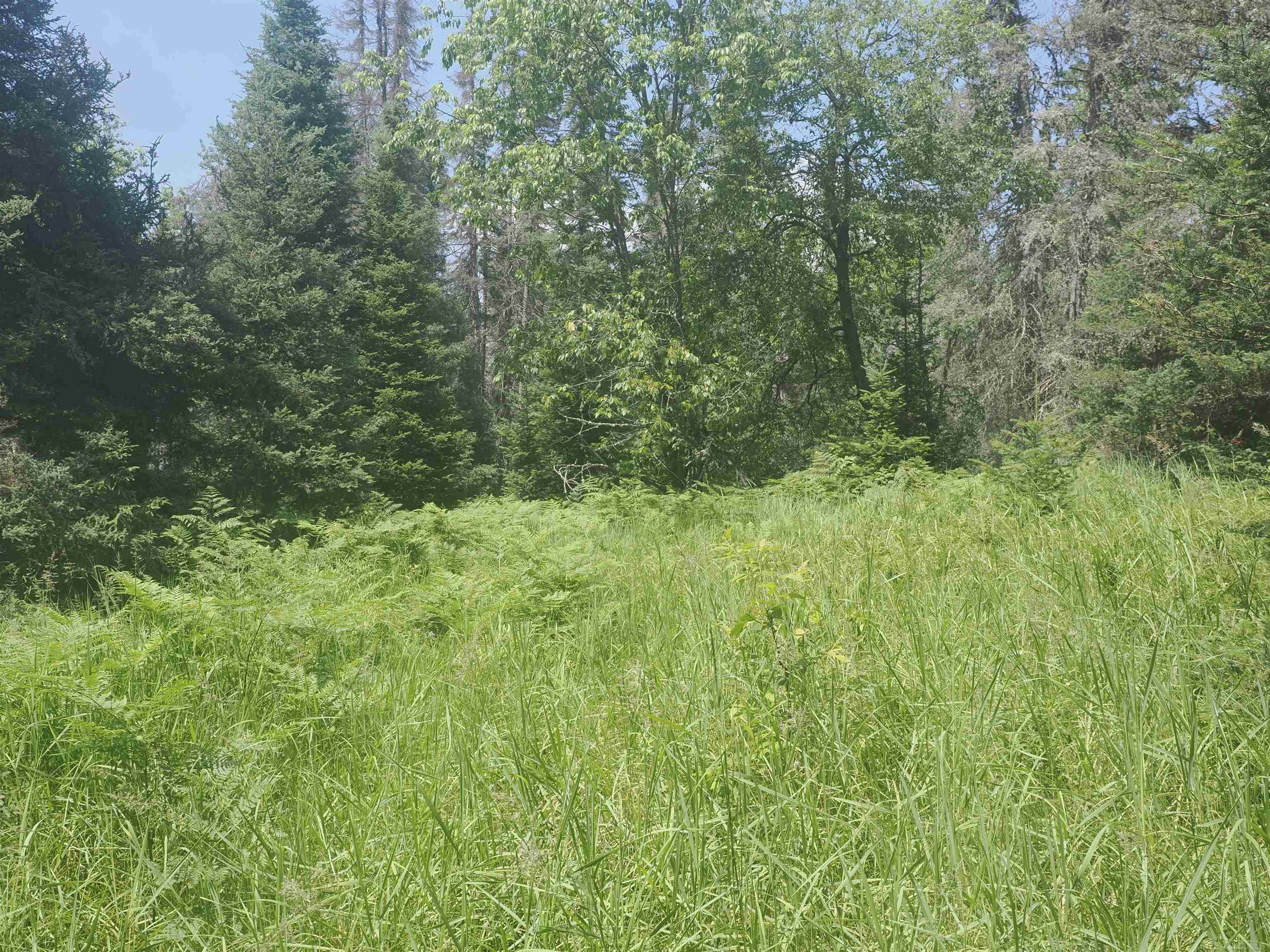 0 County Road Ishpeming, MI 49849 - Photo 70 of 85