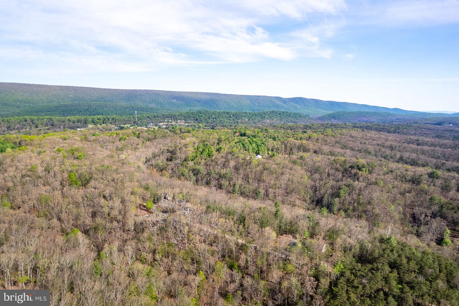 Kentucky Lane Berkeley Springs, WV 25411 - Photo 13 of 20