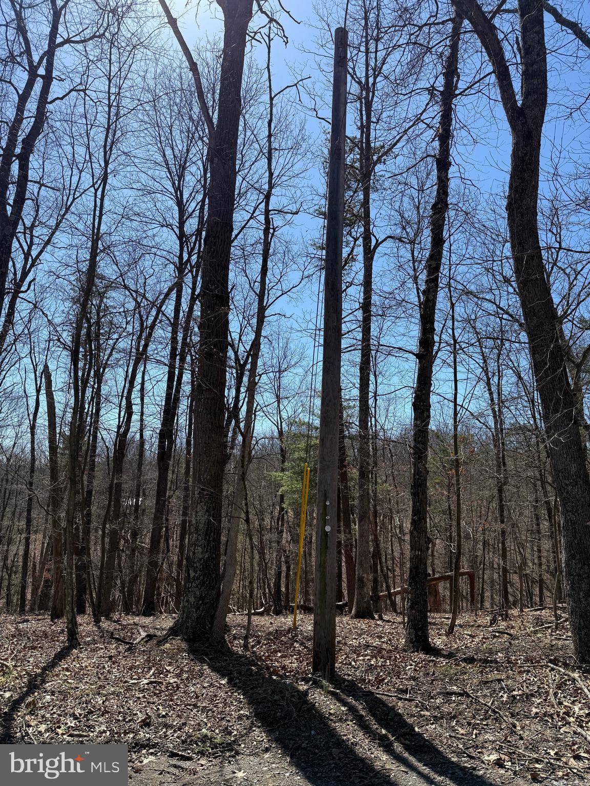 Kentucky Lane Berkeley Springs, WV 25411 - Photo 15 of 20 a view of a backyard with large trees