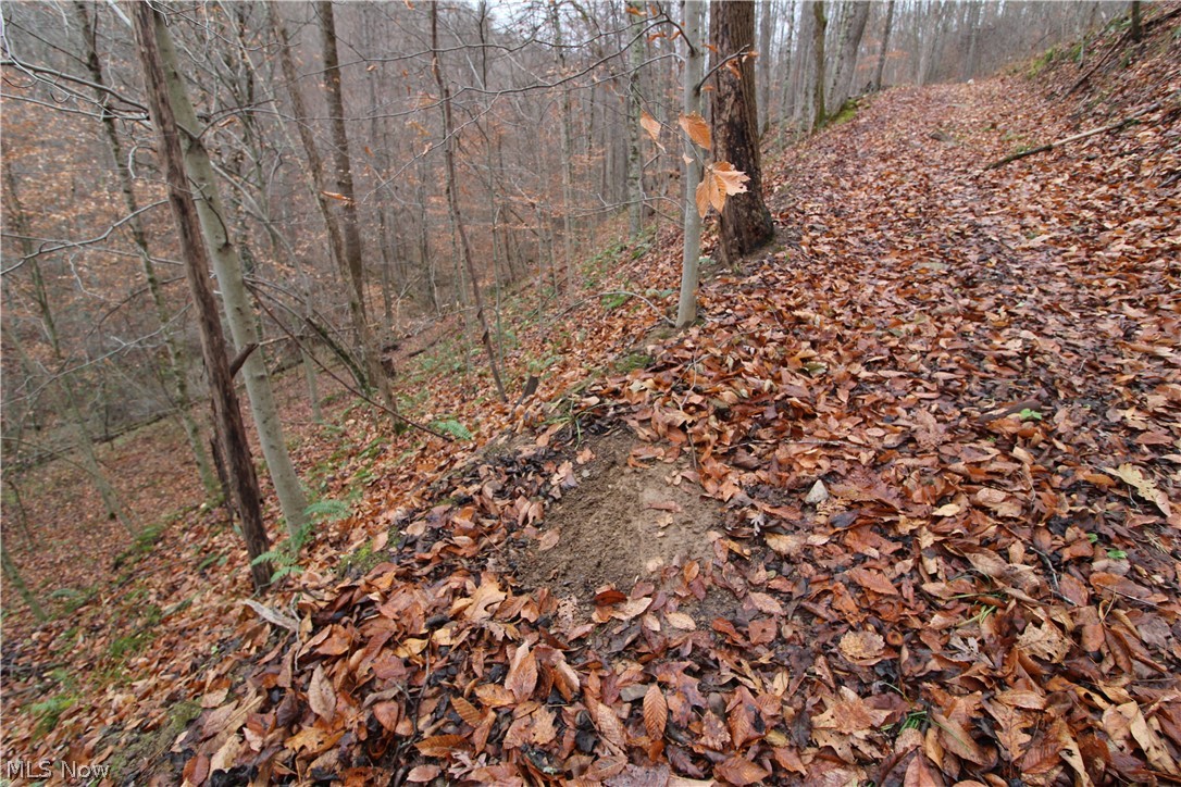 Wilson Run Road New Matamoras, OH 45767 - Photo 11 of 34 Gallery Image 11