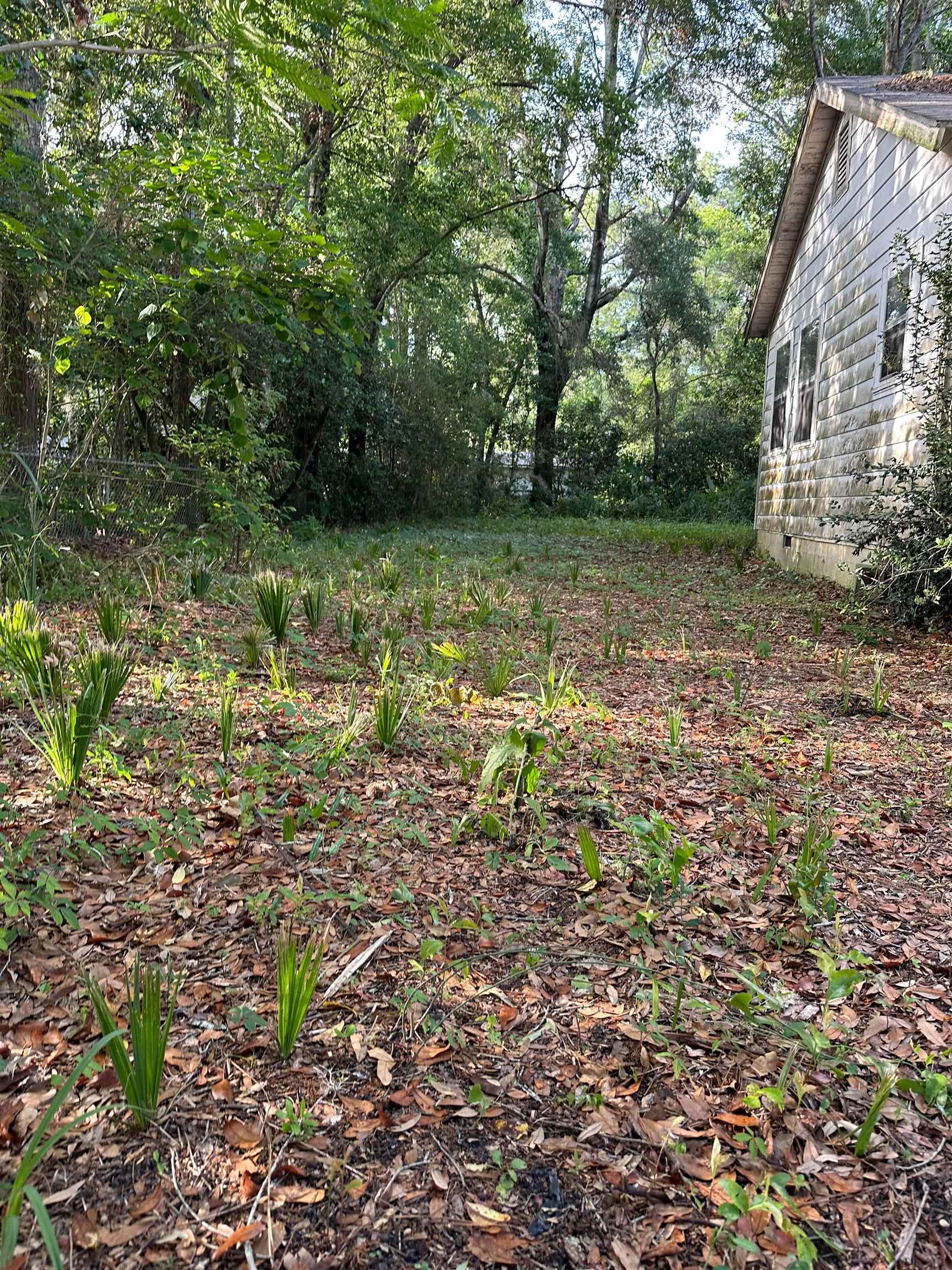 1106 East Veterans Drive Perry, FL 32347 - Photo 2 of 23