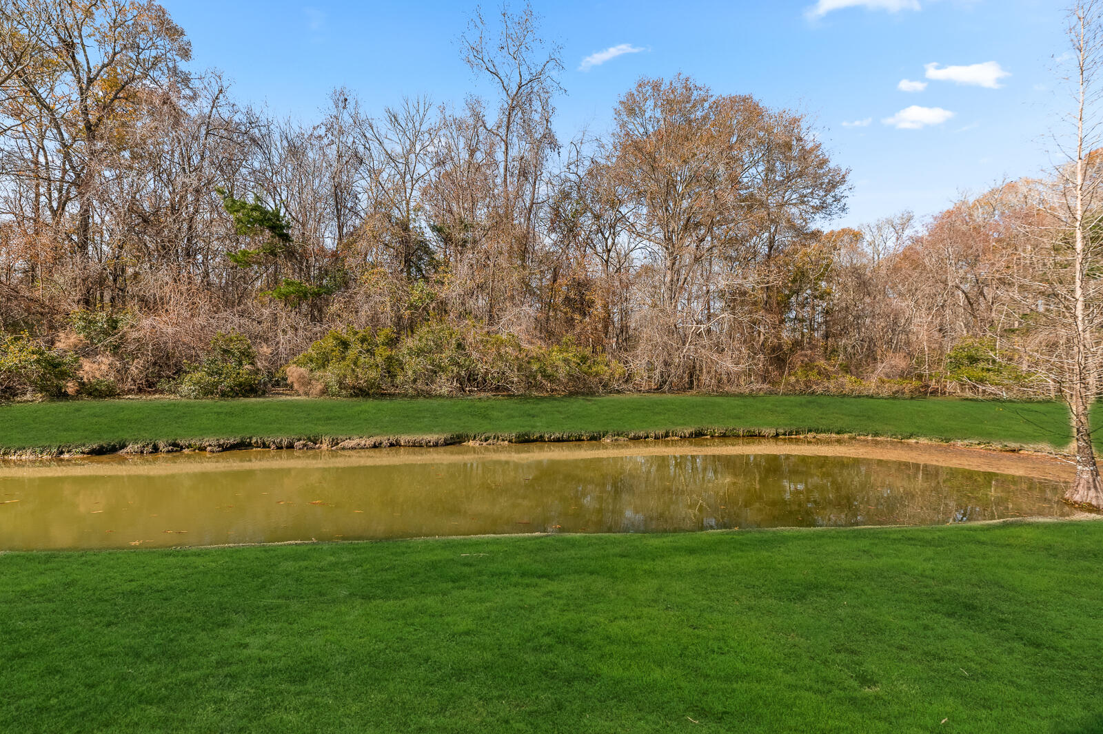 163 Oakbluff Road Summerville, SC 29485 - Photo 33 of 33 163 Oak Bluff Rd (31 of 35)