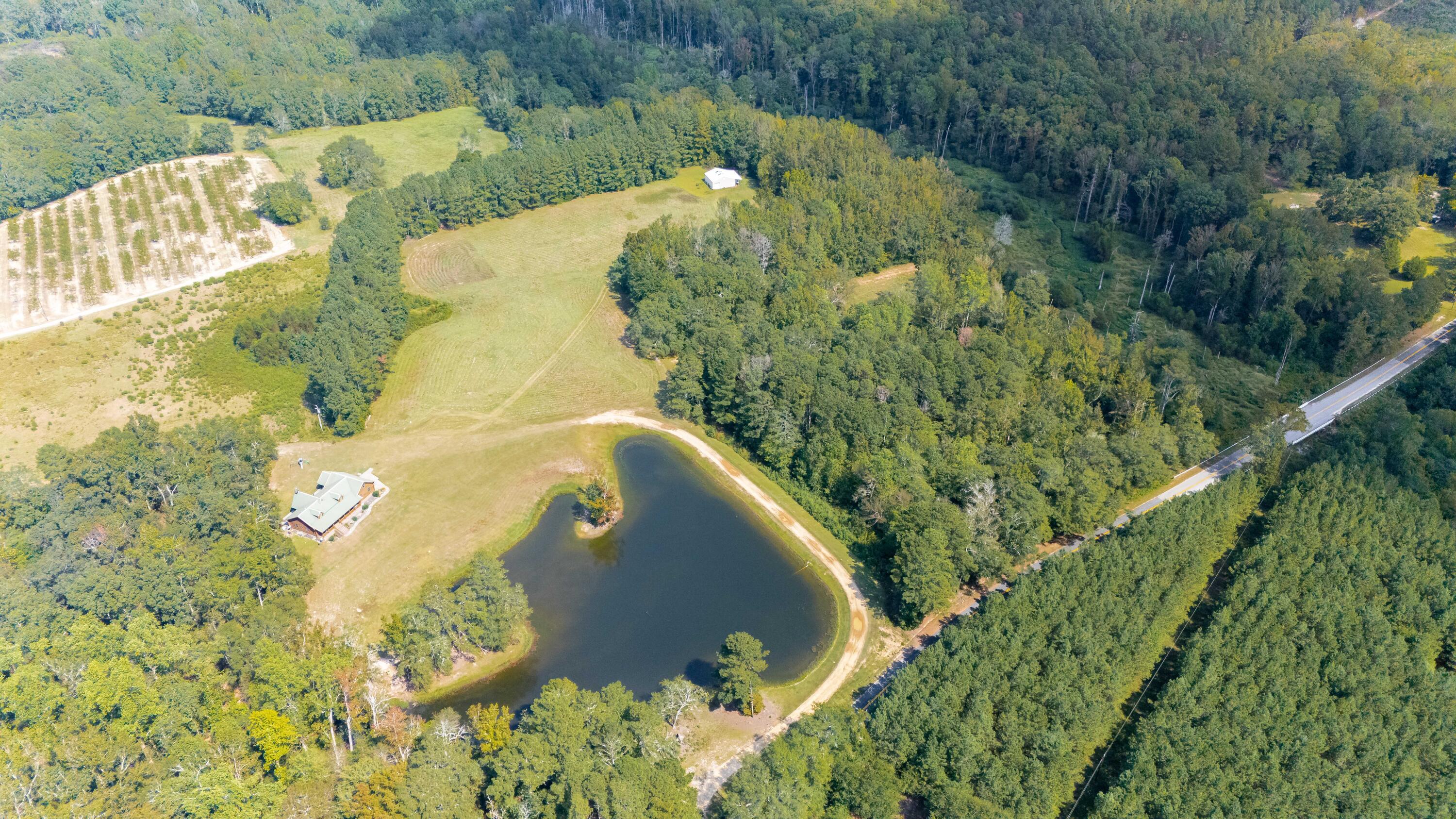 153 Rachel Road Ridge Spring, SC 29129 - Photo 54 of 57