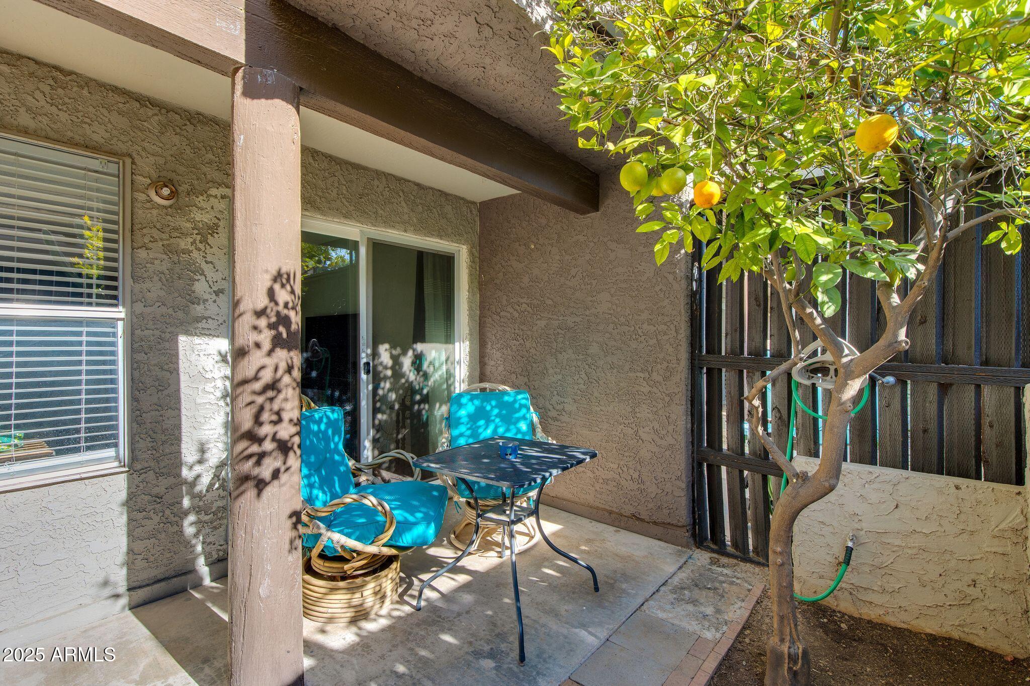 1645 West Baseline Road, Unit 1058 Mesa, AZ 85202 - Photo 11 of 52 54-Baseline