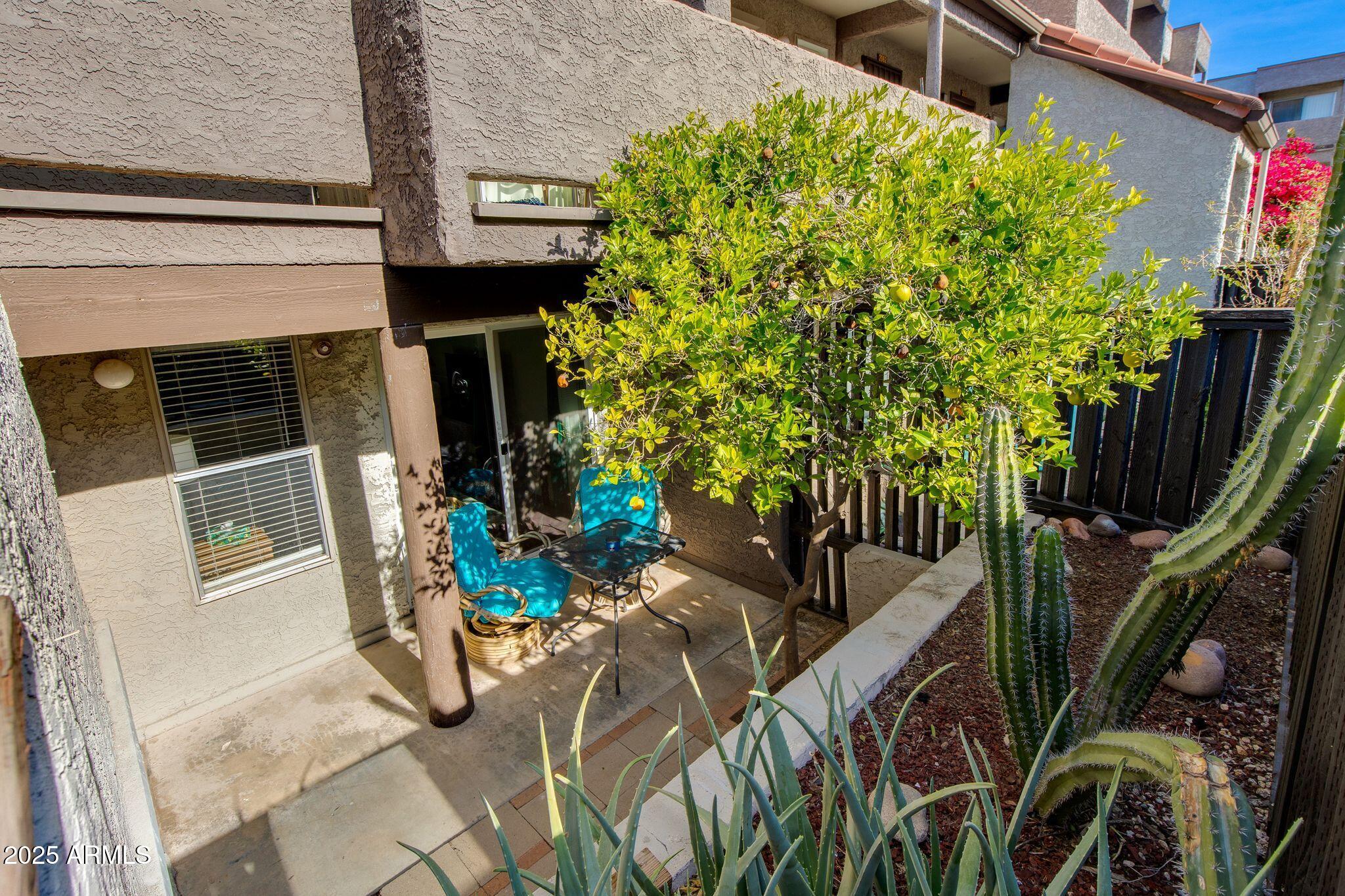 1645 West Baseline Road, Unit 1058 Mesa, AZ 85202 - Photo 14 of 52 57-Baseline