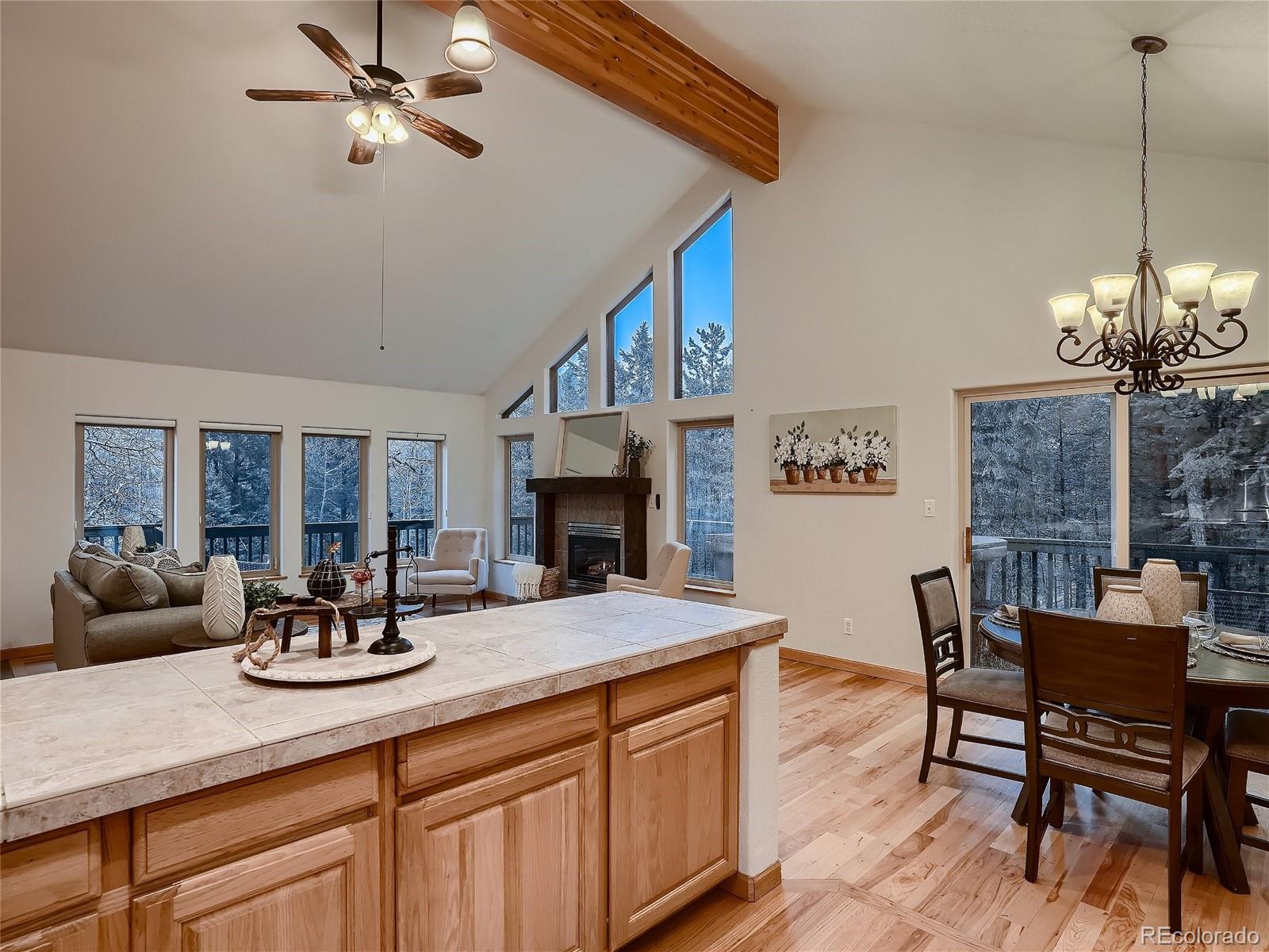 54 Brookside Drive Bailey, CO 80421 - Photo 14 of 38