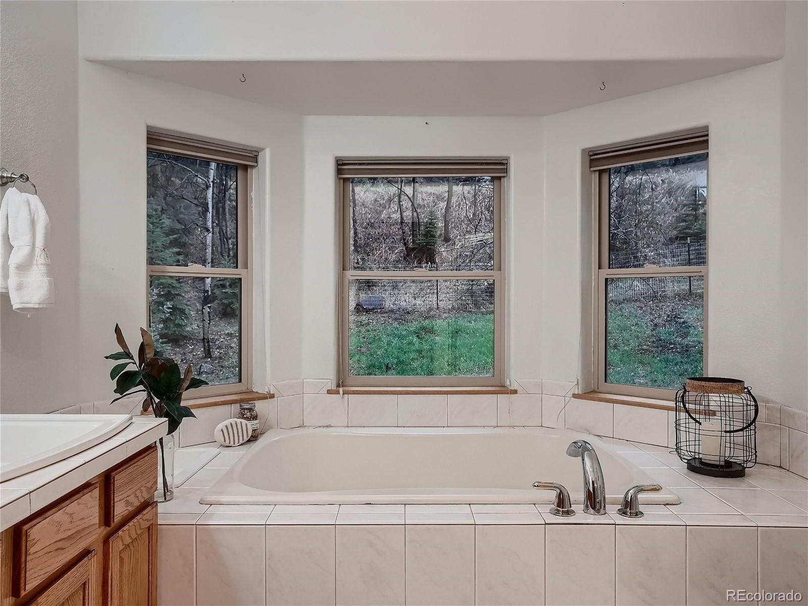 54 Brookside Drive Bailey, CO 80421 - Photo 20 of 38