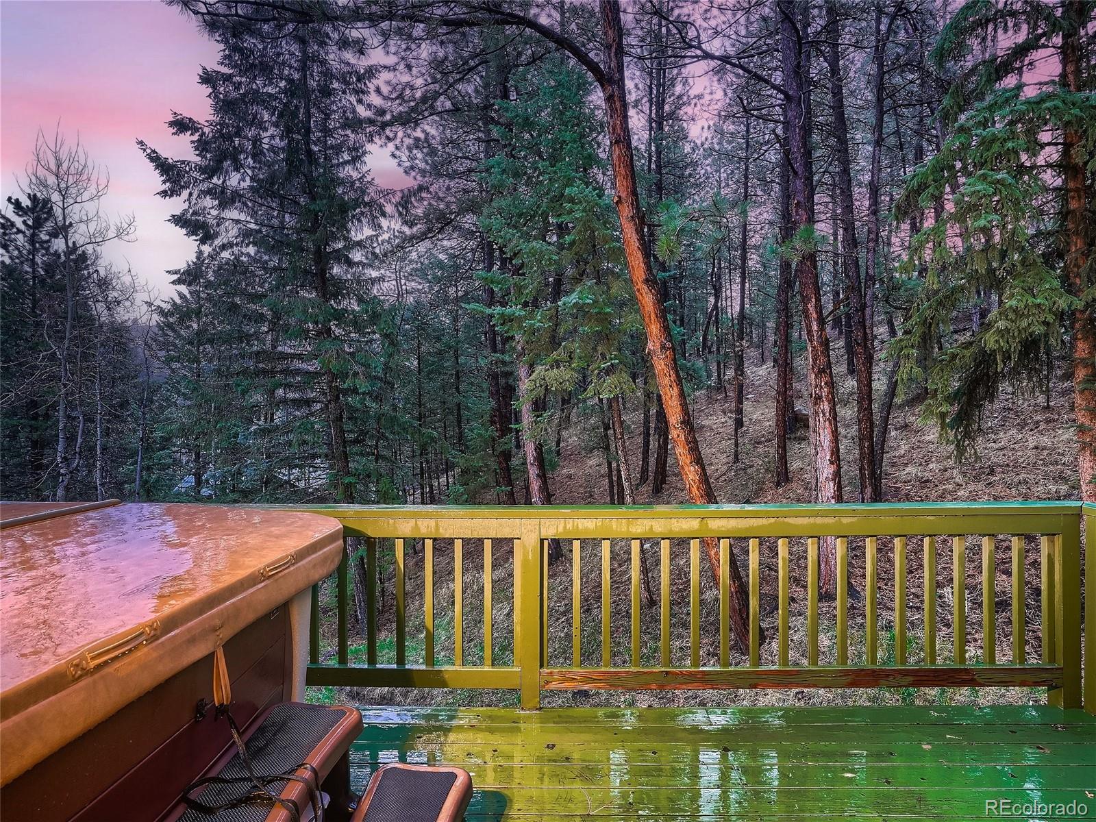 54 Brookside Drive Bailey, CO 80421 - Photo 35 of 38