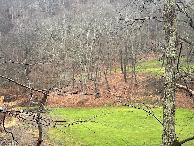 52279 Bares Run Road Hannibal, OH 43931 - Photo 14 of 17 View of yard