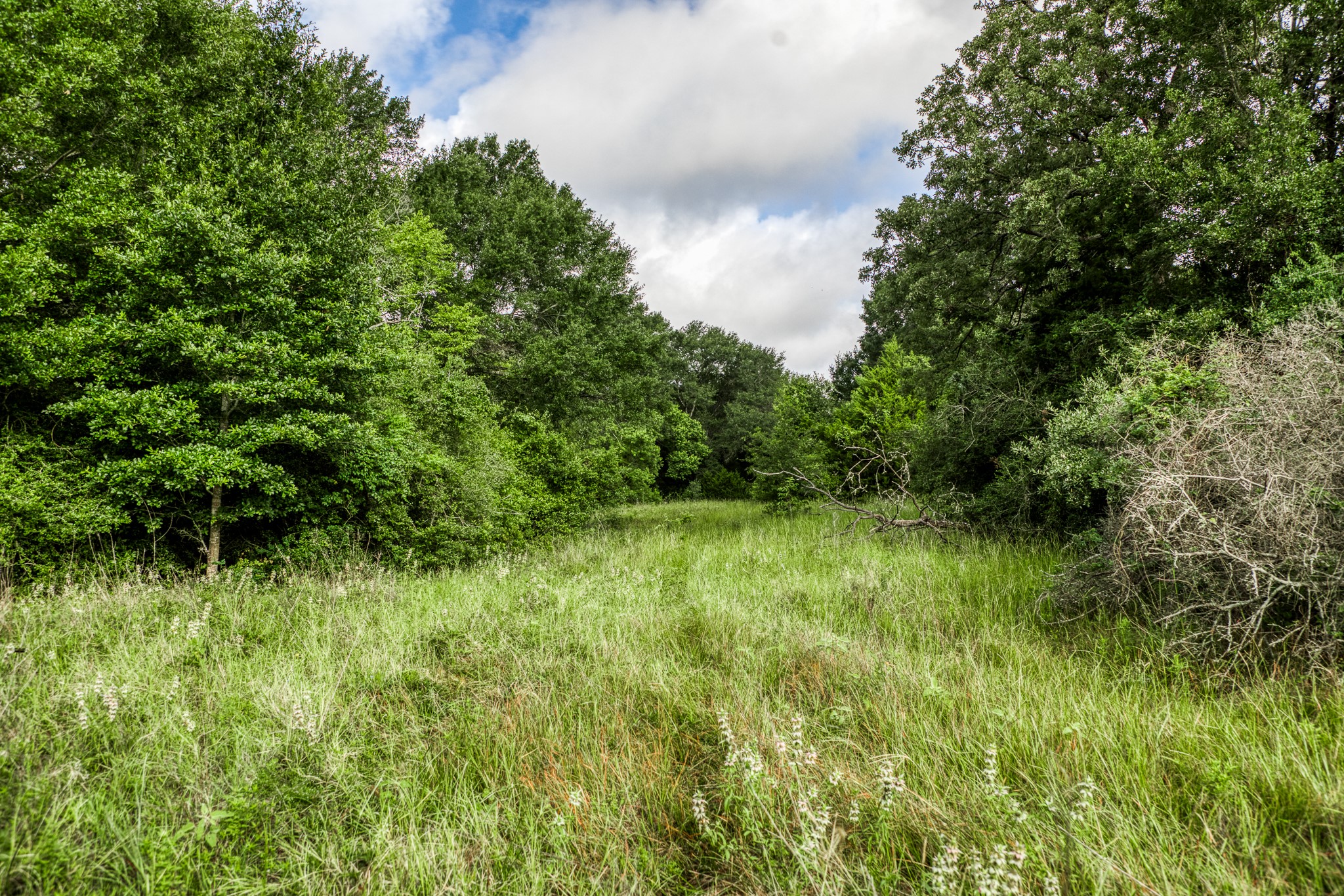 5 South Nassau Road Round Top, TX 78954 - Photo 14 of 22