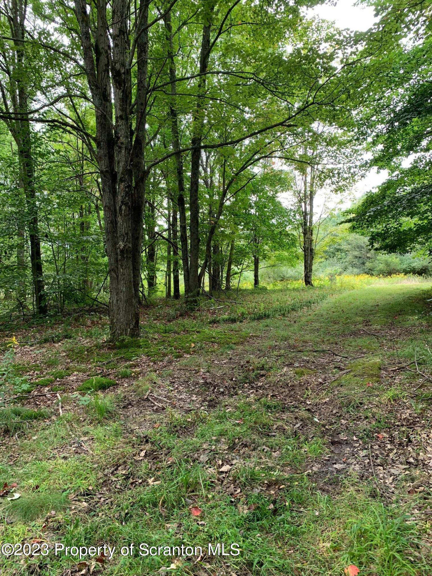 0 Irish Hill Road Warren Center, PA 18851 - Photo 3 of 12 a view of outdoor space with trees all around
