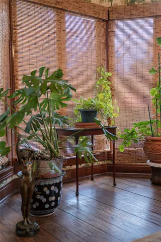 a potted plant sitting in front of a house
