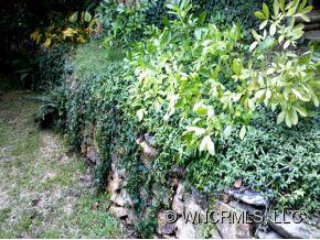 927 Country Club Road Asheville, NC 28804 - Photo 2 of 10 Gallery Image 2