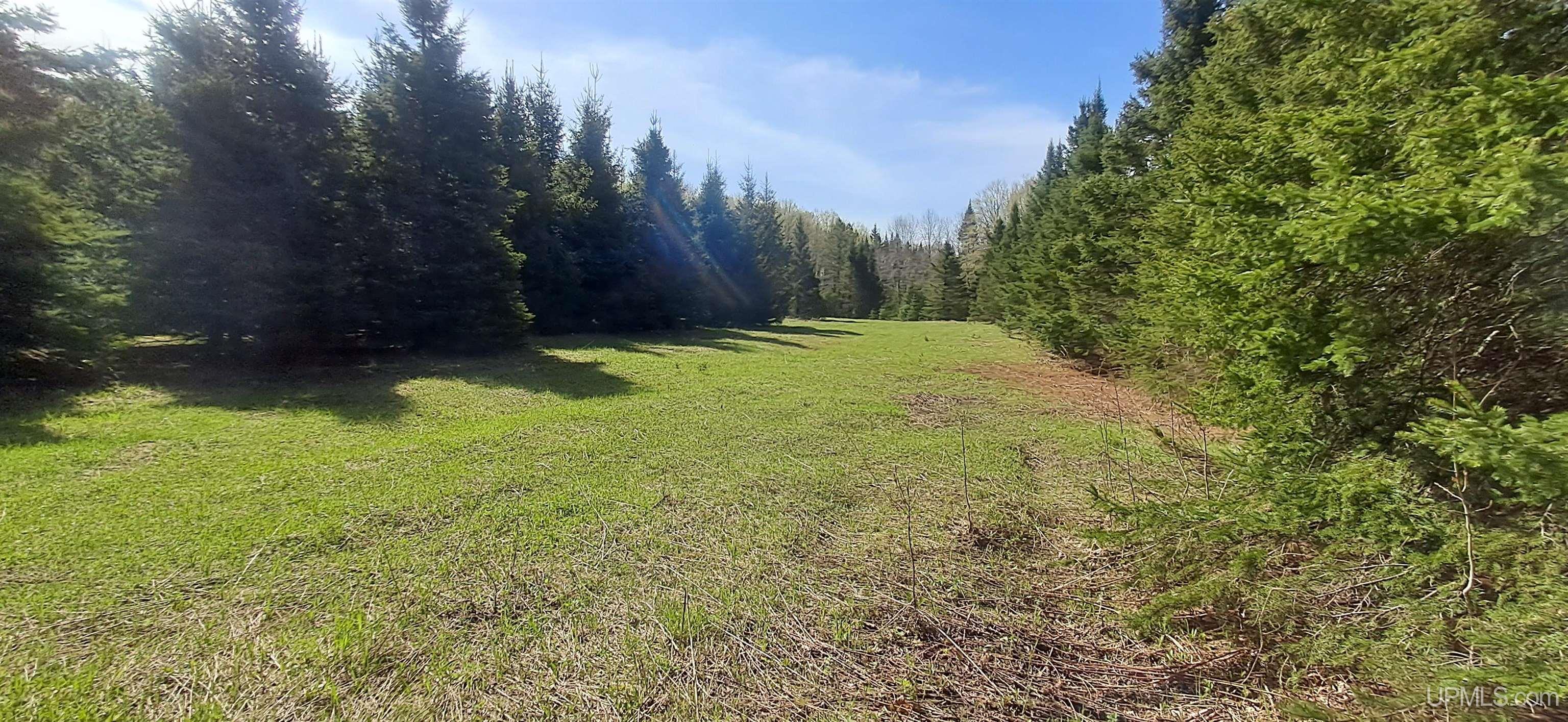 Tbd County H26 Road Rock, MI 49880 - Photo 3 of 20